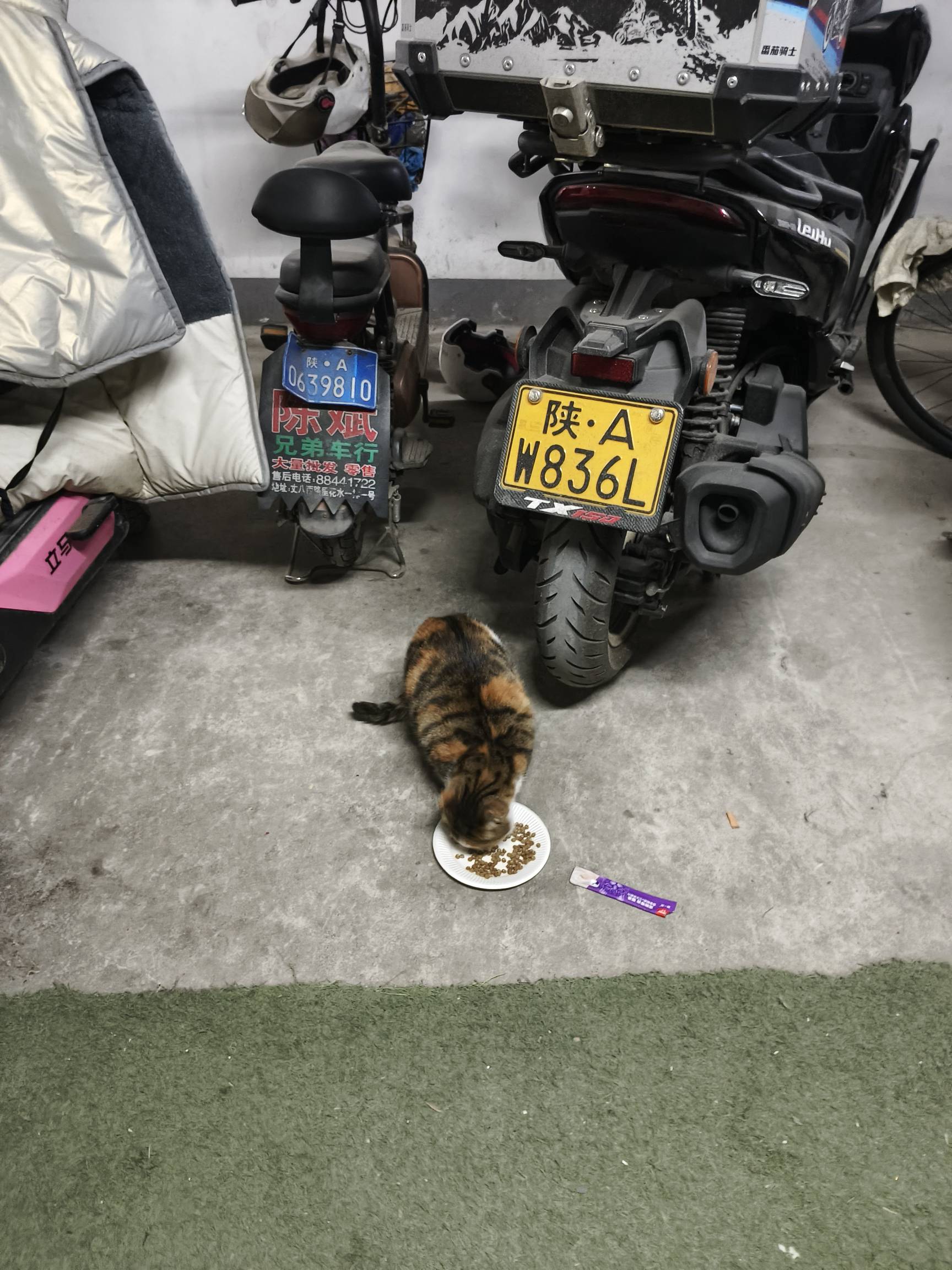 打卡

2 / 作者:回到古代当皇帝 / 