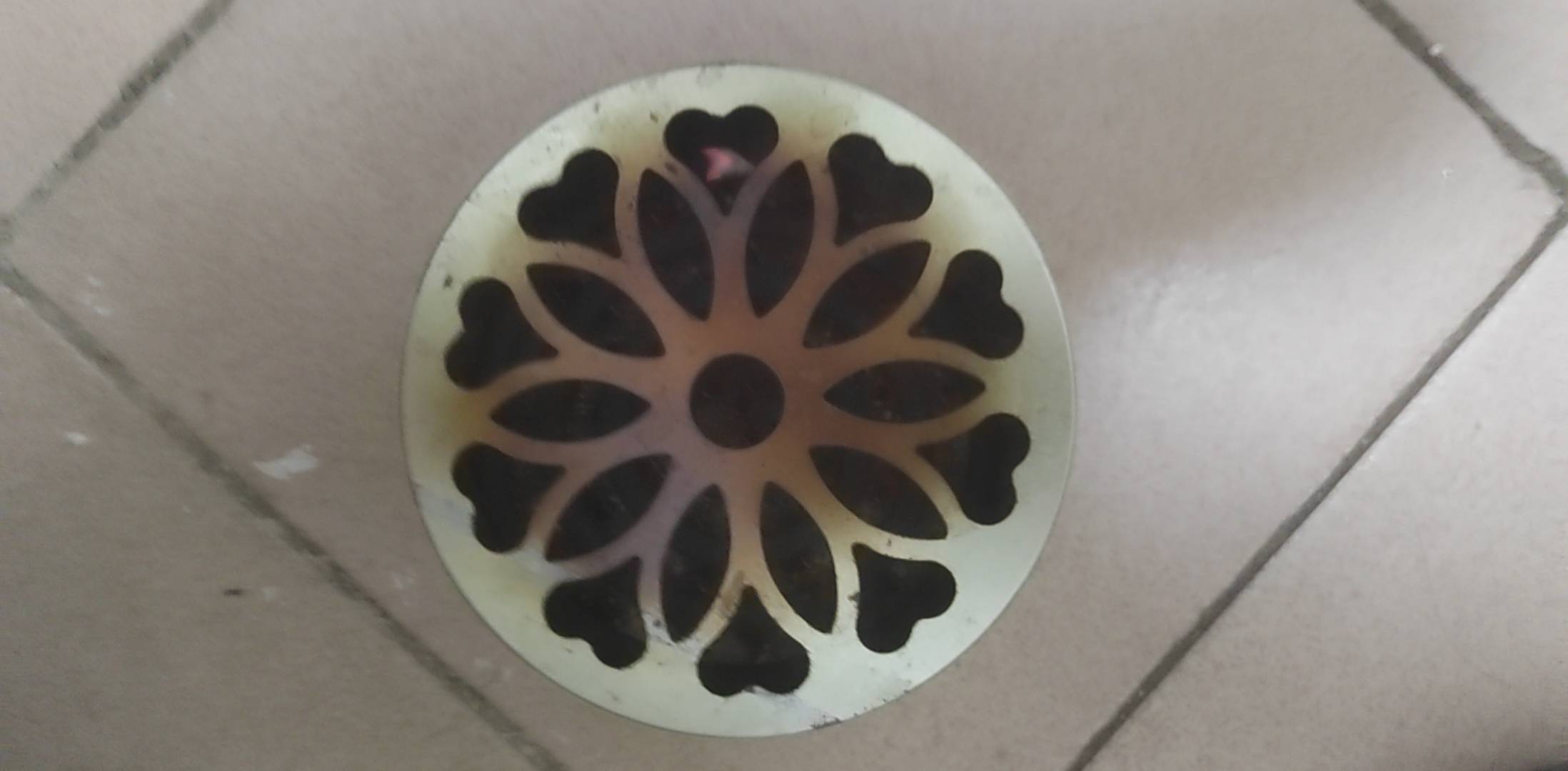 奶奶的，我以为出现环境了，广东这个天还有蚊子。谁知道是真的

21 / 作者:挂比了救我鸭 / 