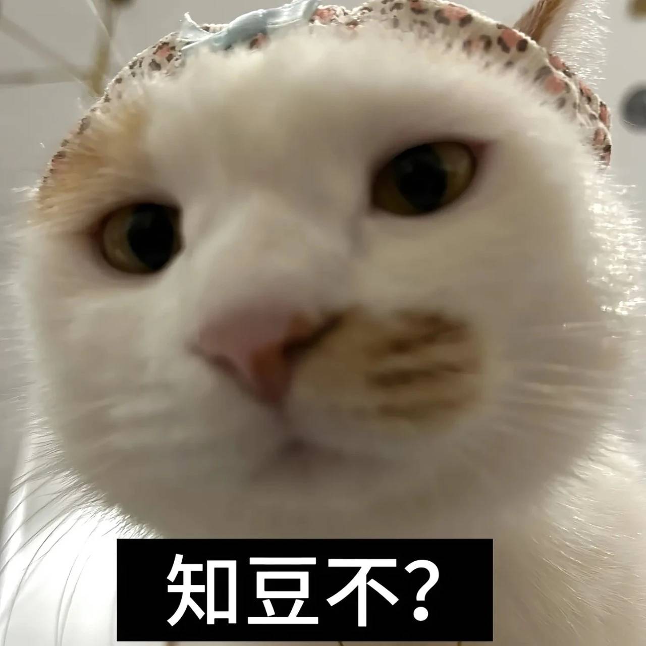 老哥老姐些，有没有西安土著，西安哪里好玩啊



36 / 作者:先天挂逼圣体 / 