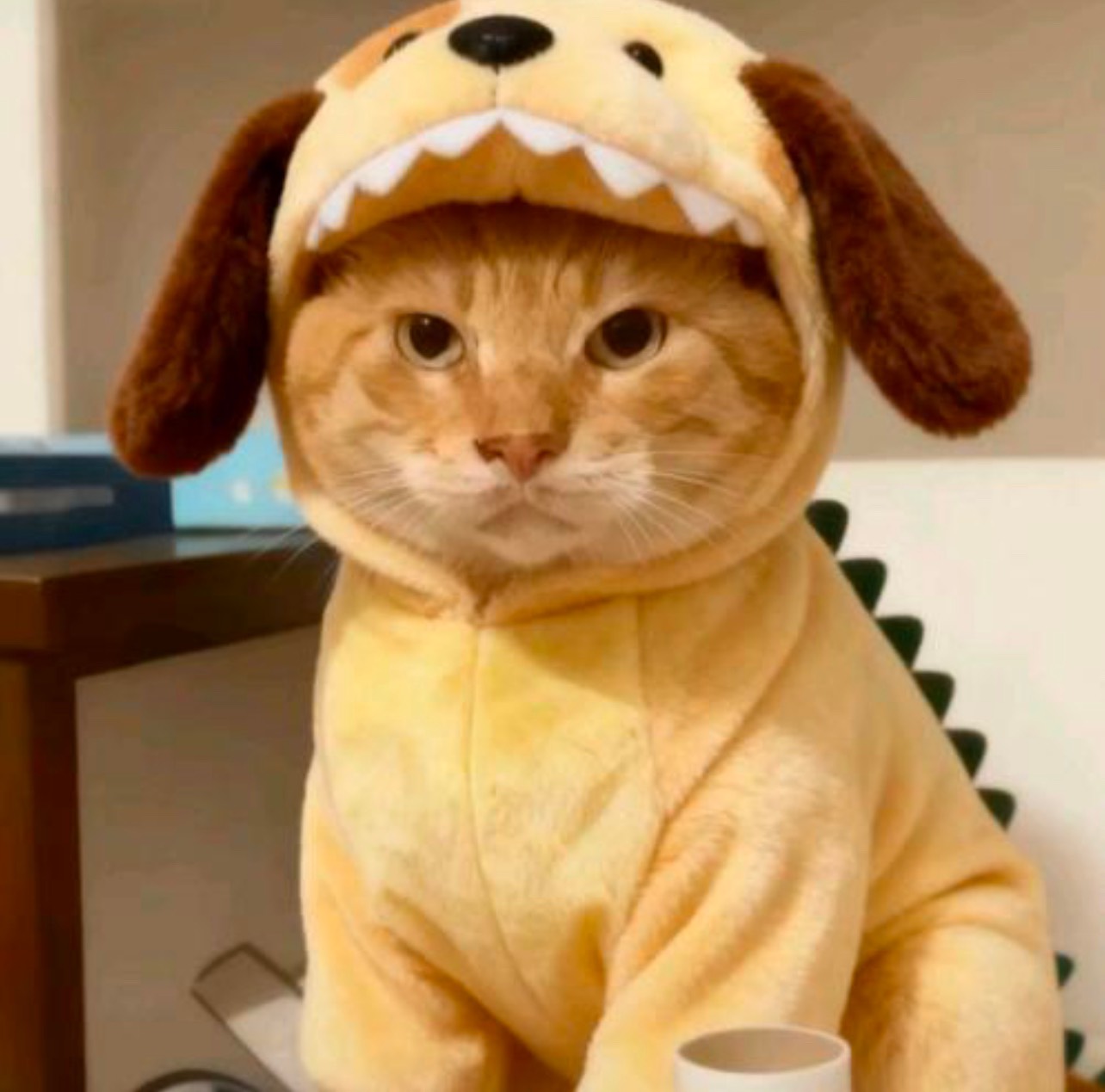 云和谢氏社区

10 / 作者:蒙特利尔 / 