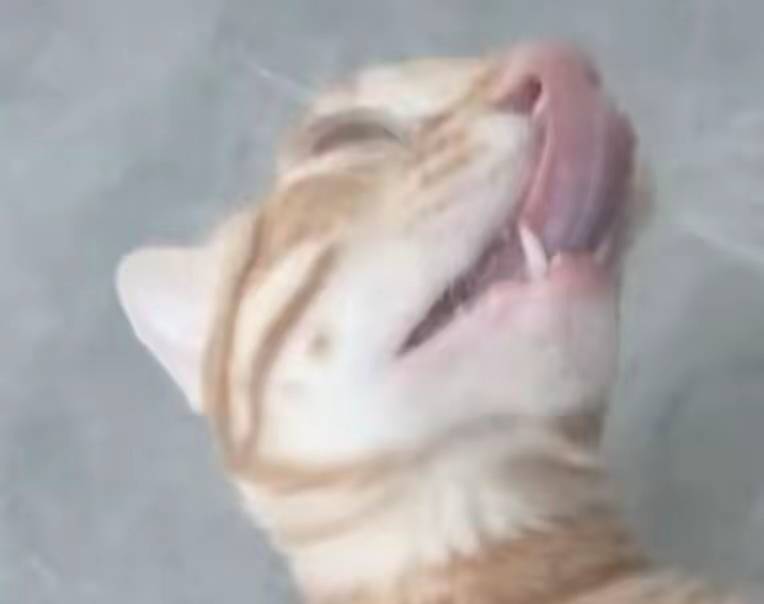 又通宵了，太爽了

29 / 作者:大力水手皮卡丘 / 