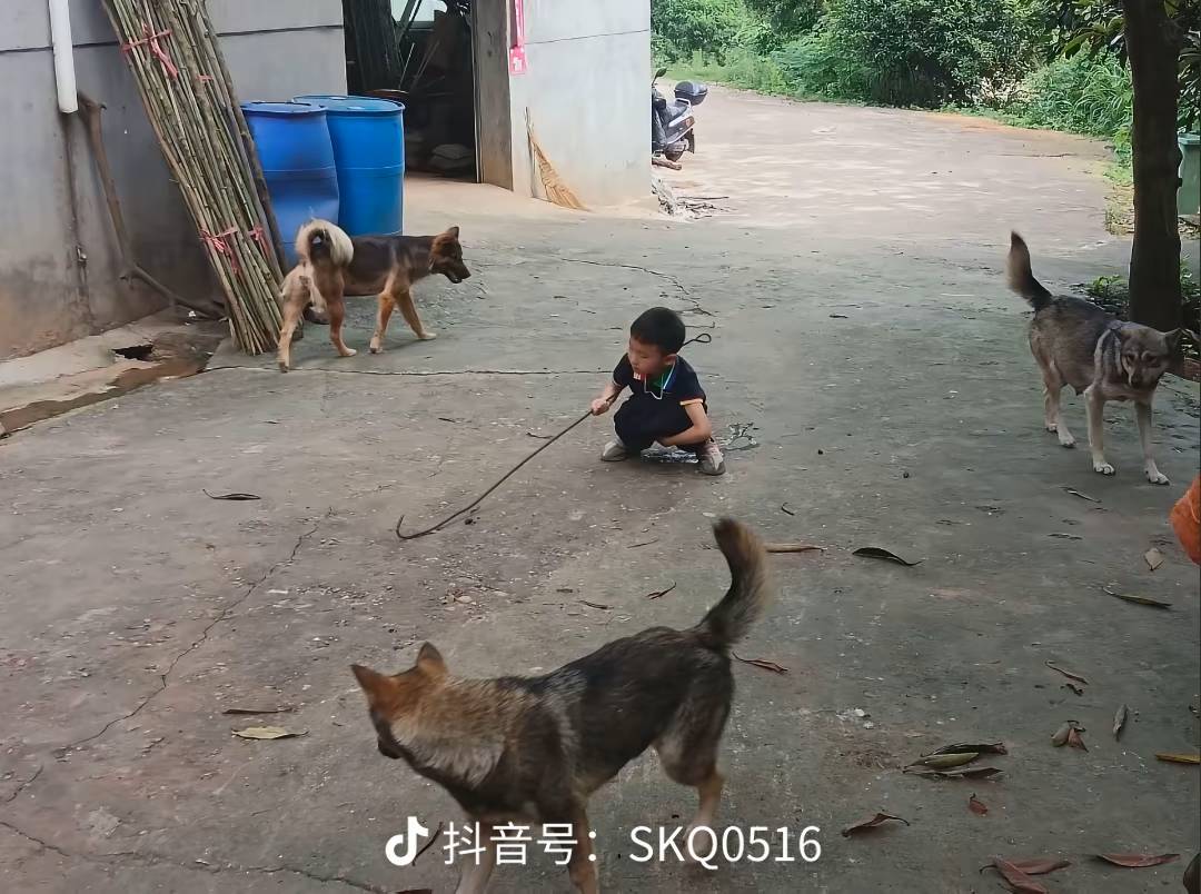 怎么全是快手 能不能来点其他毛

30 / 作者:我是雄霸 / 