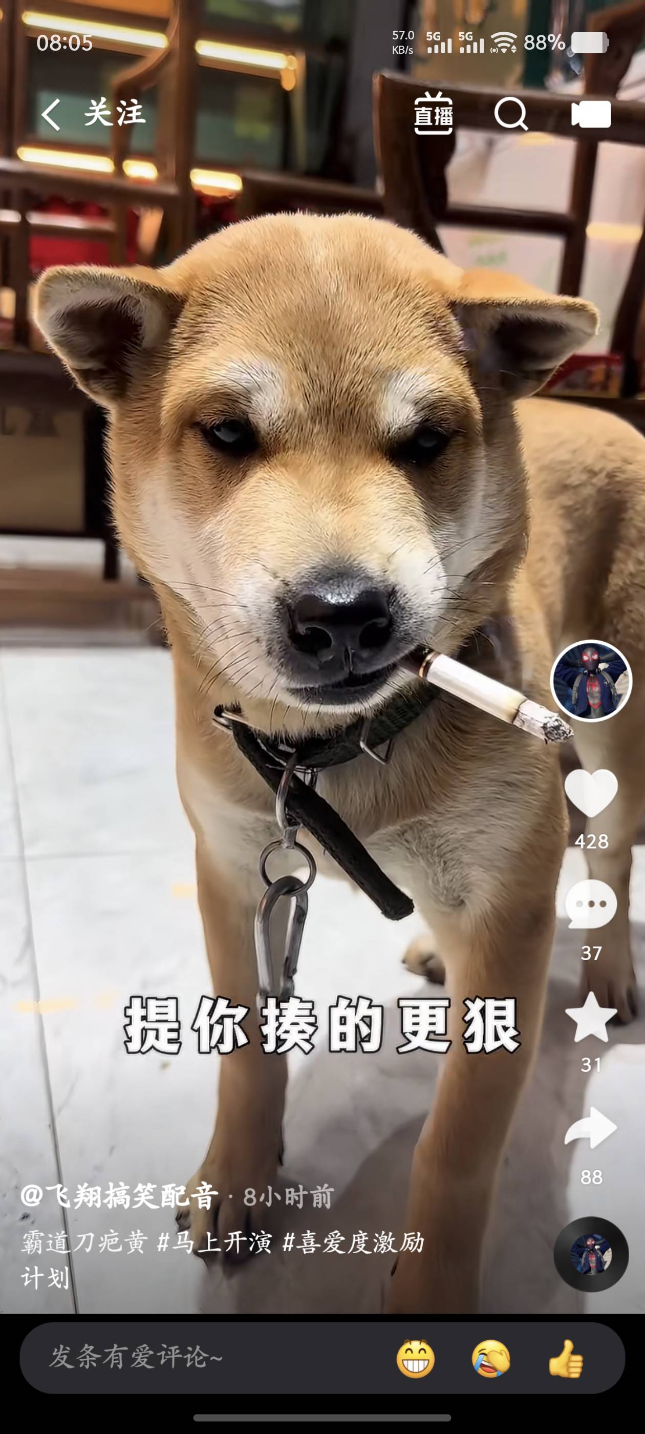 早上好！起床，洗漱，吃饭，看盘，打麻将，吃火锅！看电影，逛街，咋们本来就是有钱人27 / 作者:昨日过往 / 