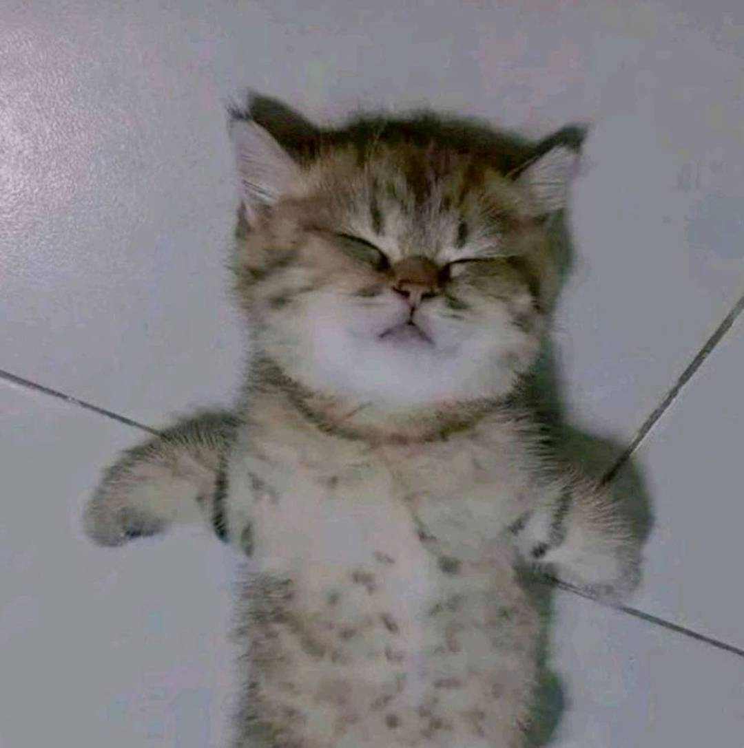 只有低保命，看老哥们发炫耀图，没忍住去抽了18

28 / 作者:知了好不 / 