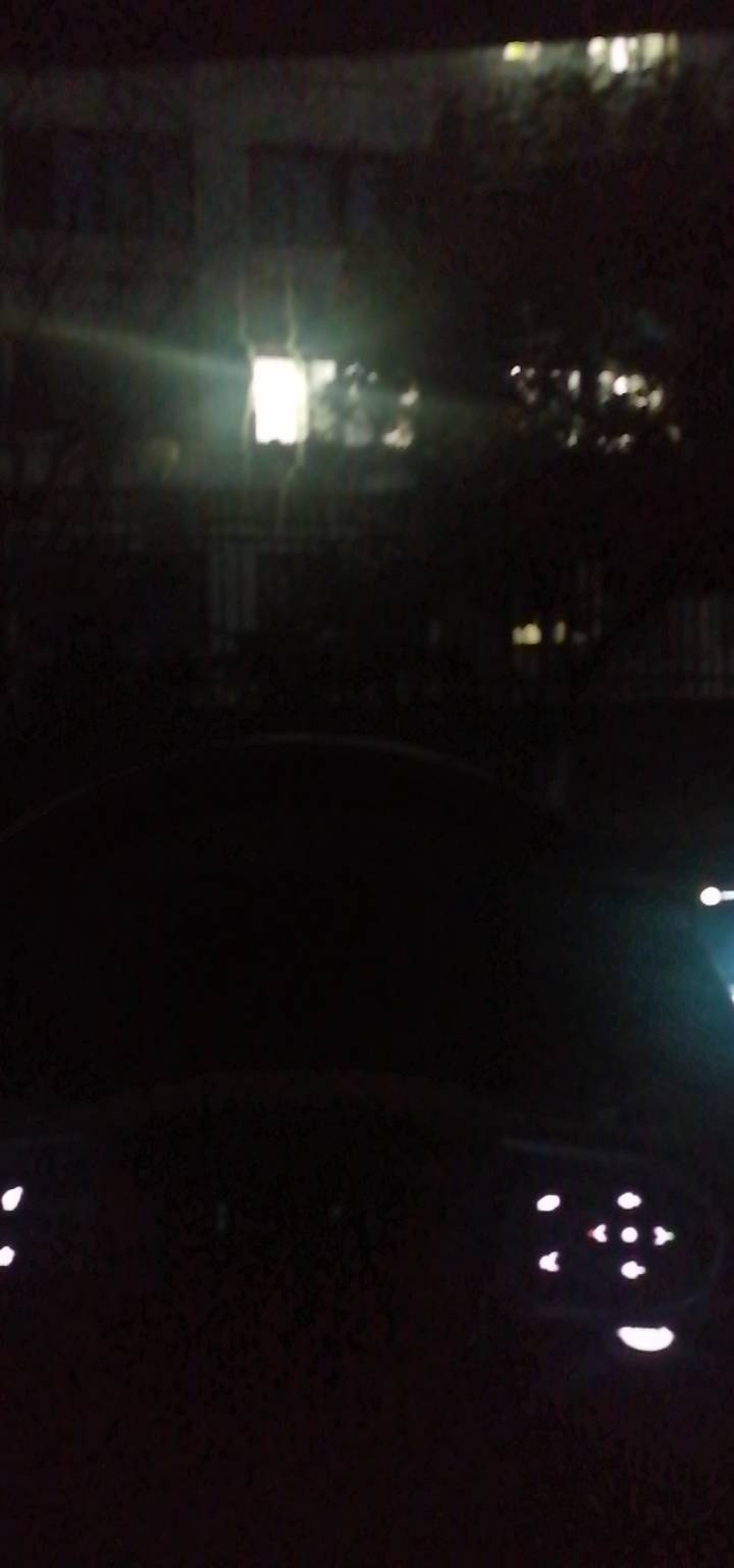 早起的鸟儿有鱼吃

62 / 作者:故事大王磨推鬼 / 