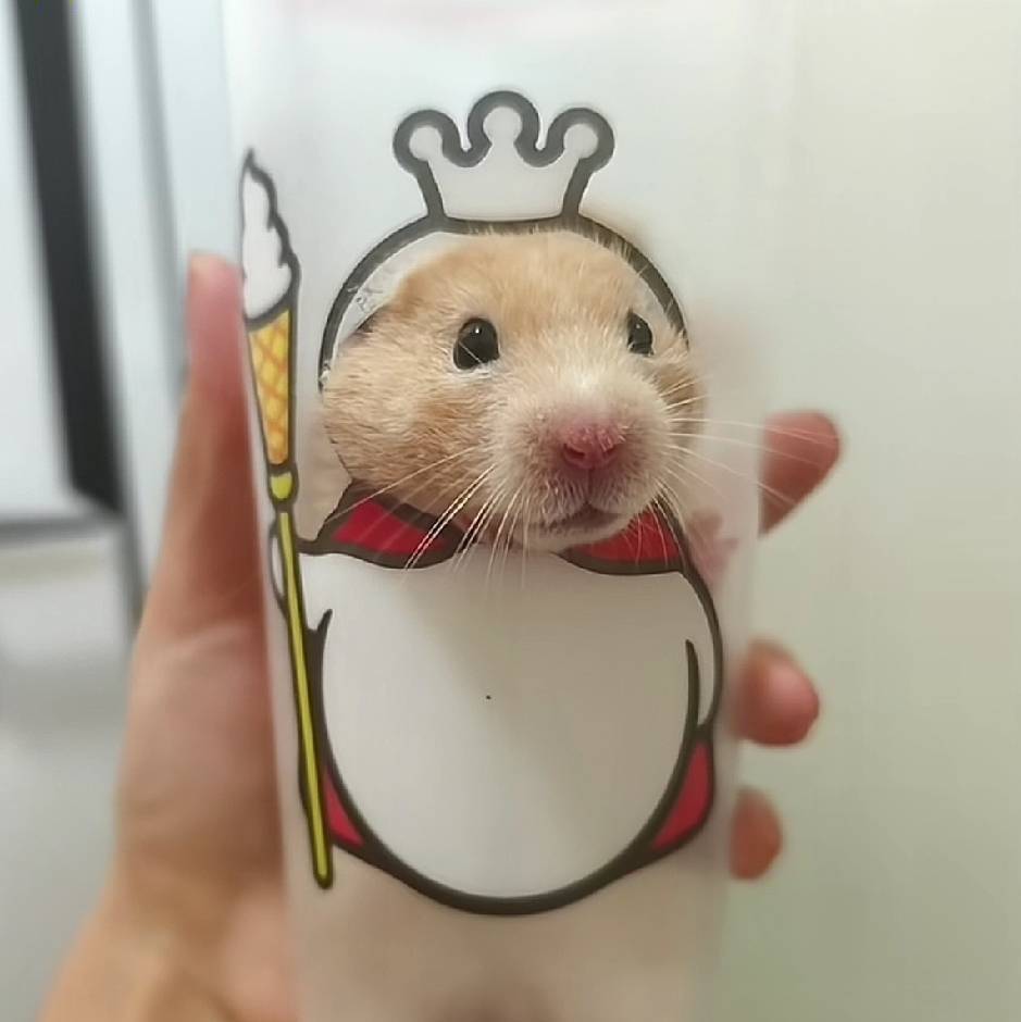 这几天全是大毛毛，场面堪比过年。老哥都吃得白白胖胖

15 / 作者:凤鸣 / 