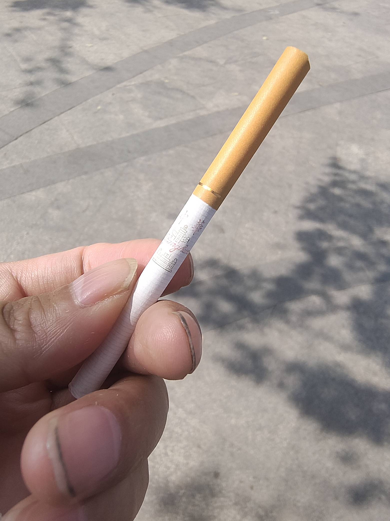 大妈黑龙江明天会补吗

84 / 作者:秦始皇复活2 / 