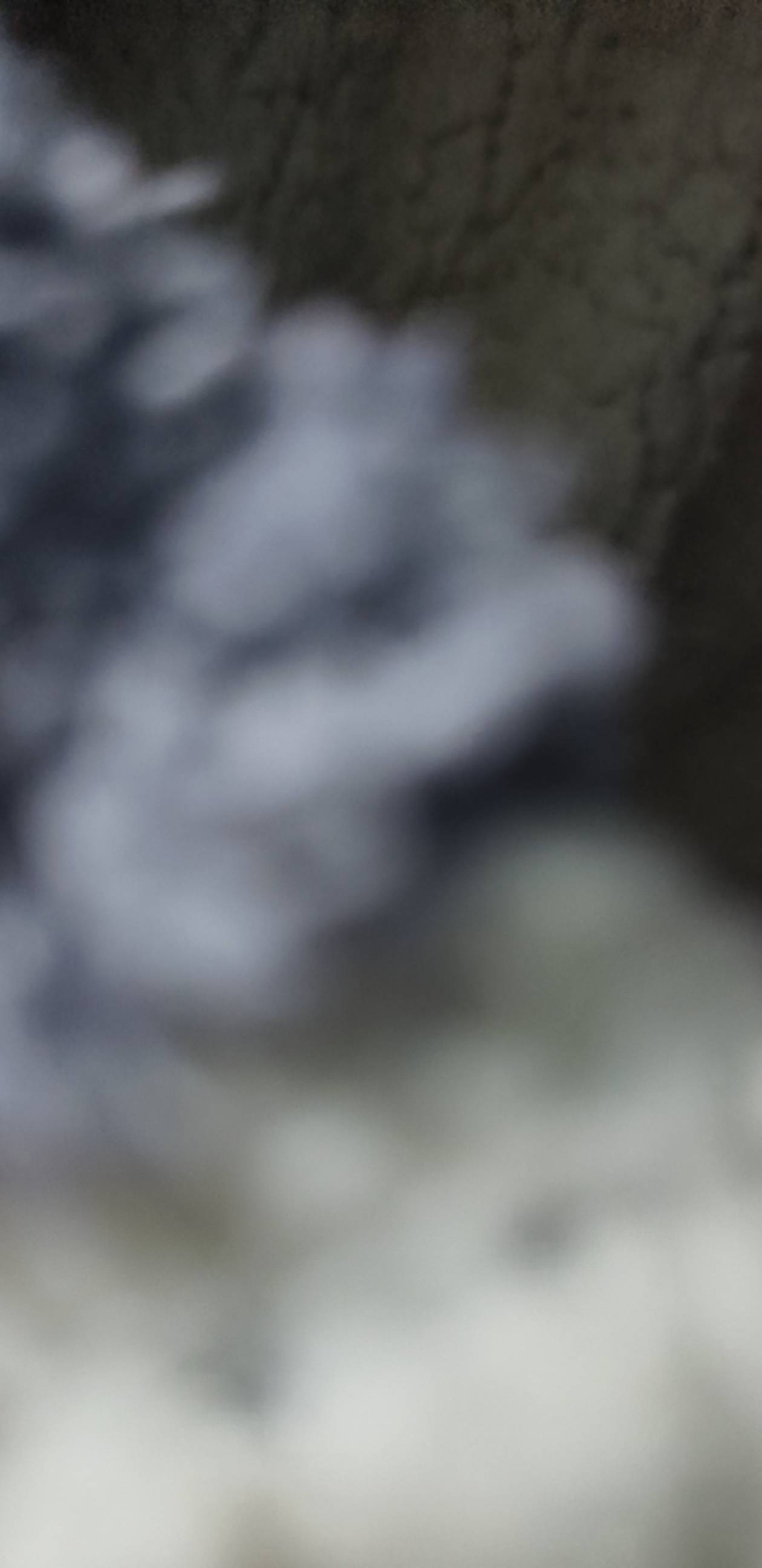 干就完了，今天开店，买e300，发发发

2 / 作者:昨日过往 / 