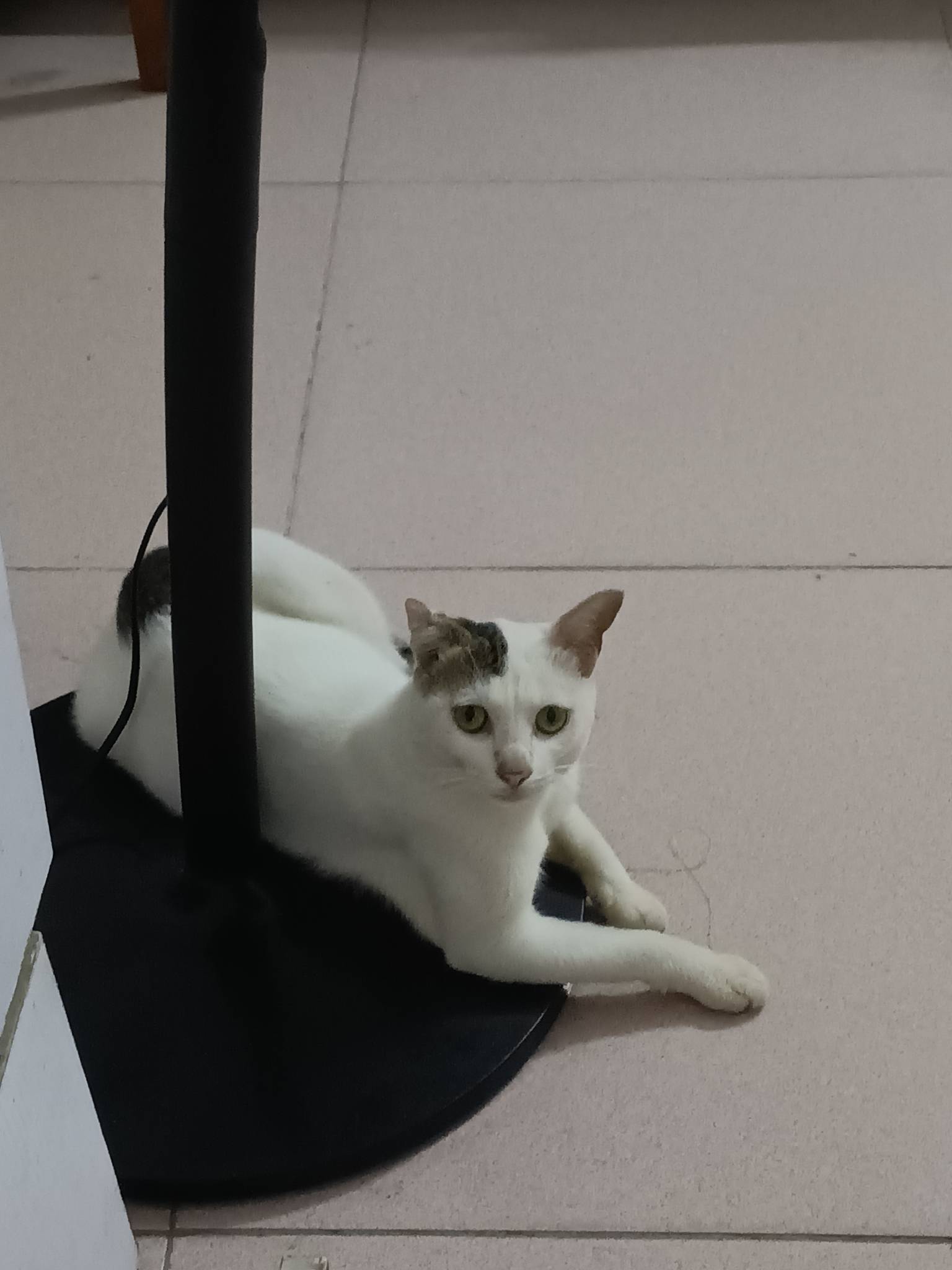 回老家啃老了，哎，父母年纪大了，但还是那么关心我，也没在乎我赚不赚钱。活得太失败4 / 作者:mr喝喝 / 