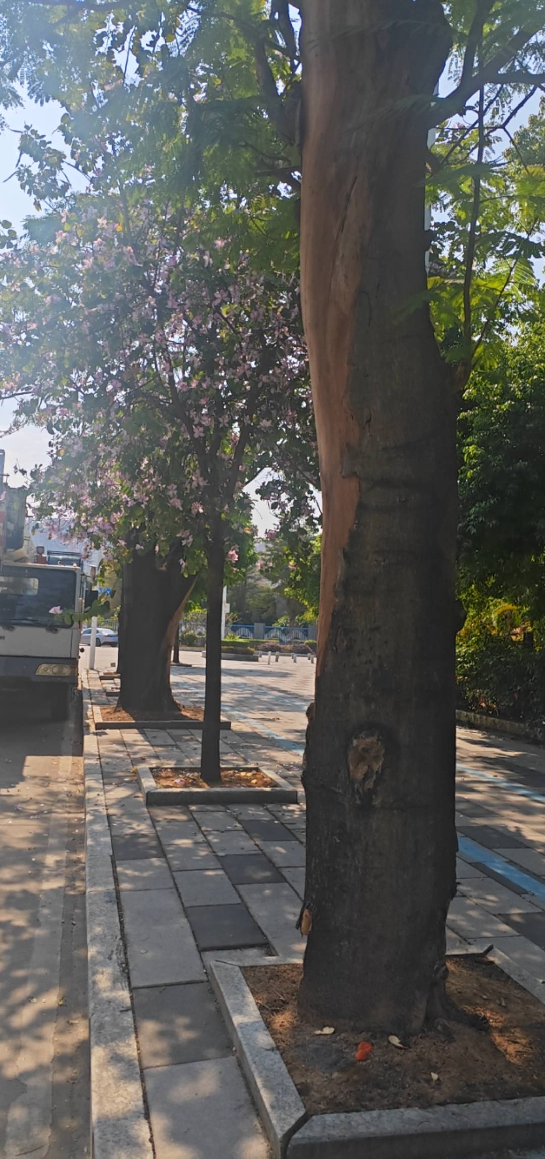 老哥们，我被骗了，怎么追回损失

36 / 作者:卡农豆包 / 