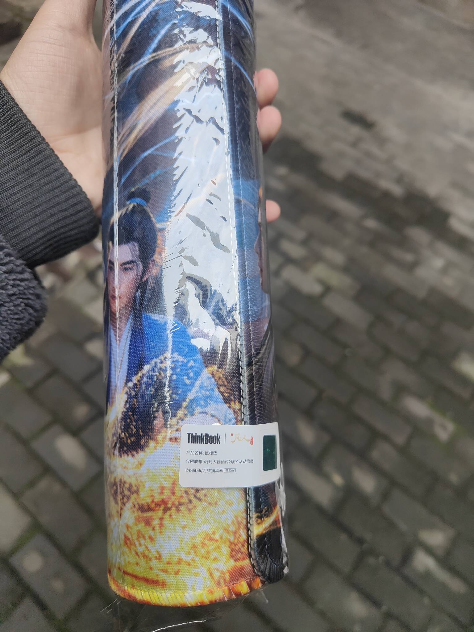 联想权益点没到，鼠标垫到了

51 / 作者:出来打我 / 