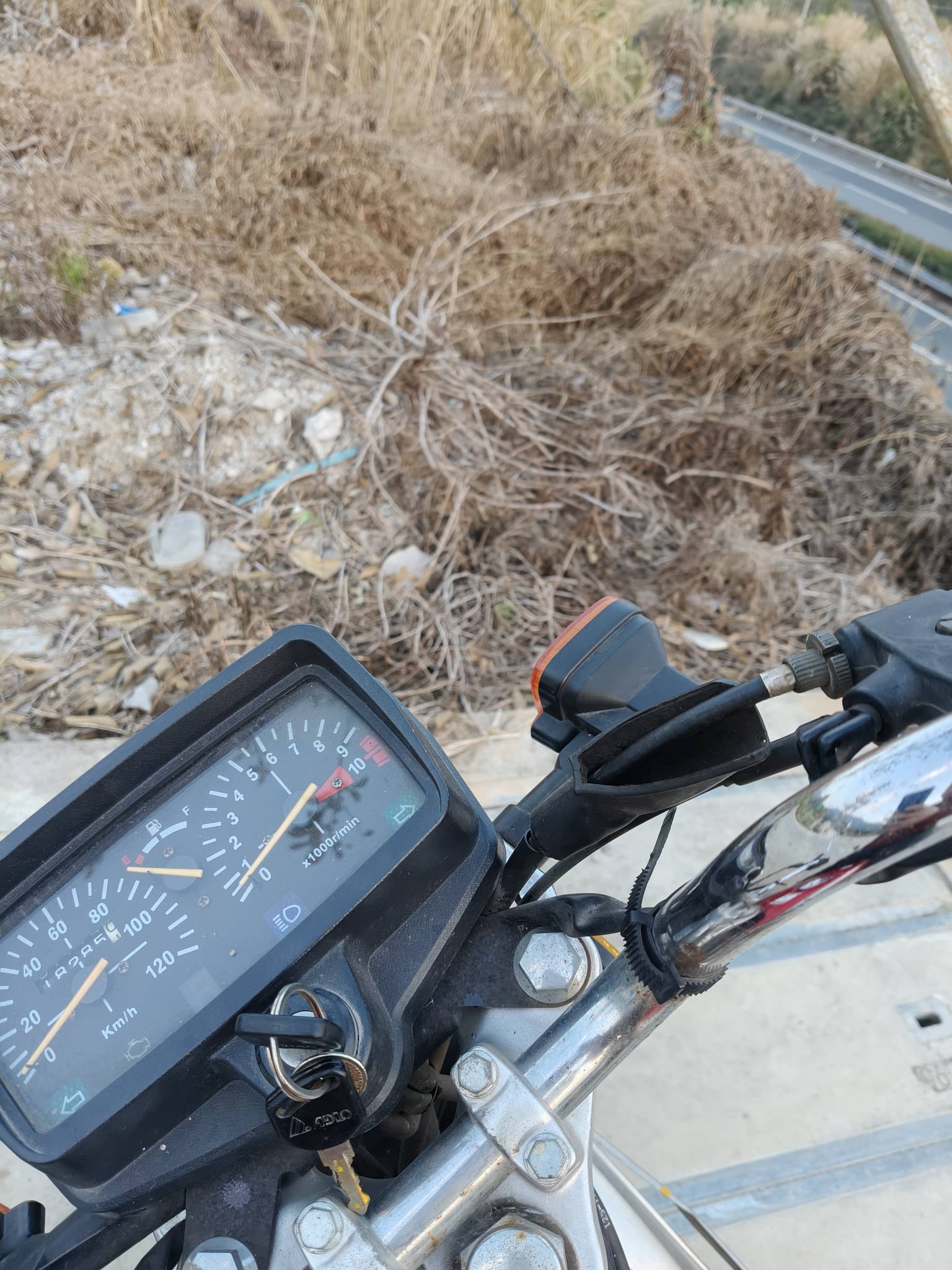 回老家天天骑个破摩托 村里头转悠 好像很多人还没回来 还有两天过年了

63 / 作者:肥美的烧鸭 / 