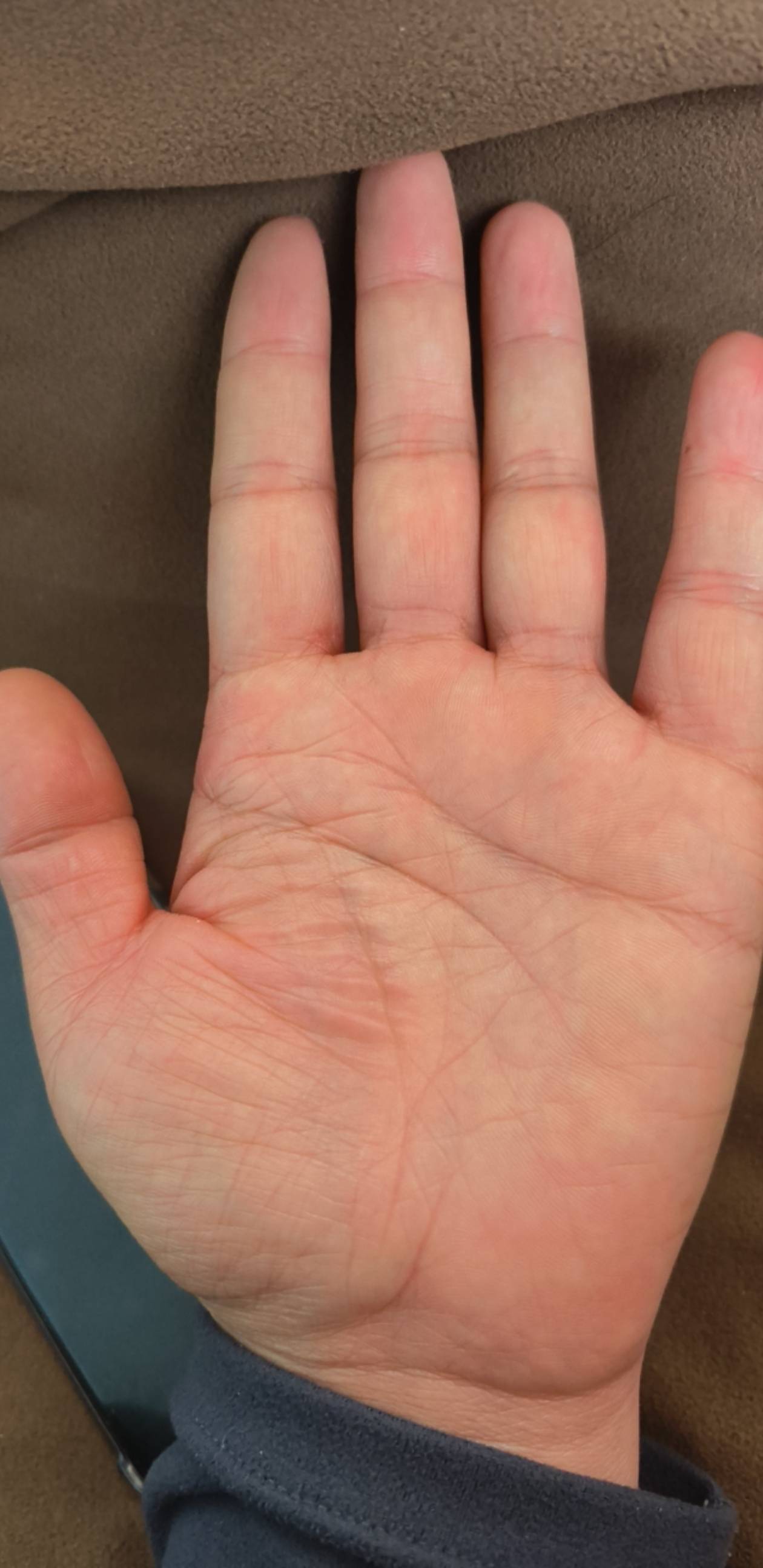 有没有帝王手相，有能看懂的没

18 / 作者:昨日过往 / 