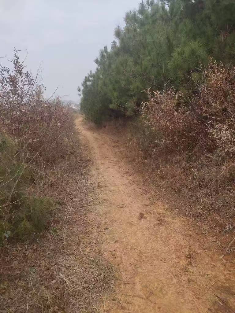 回家了



37 / 作者:，鸡你太美 / 