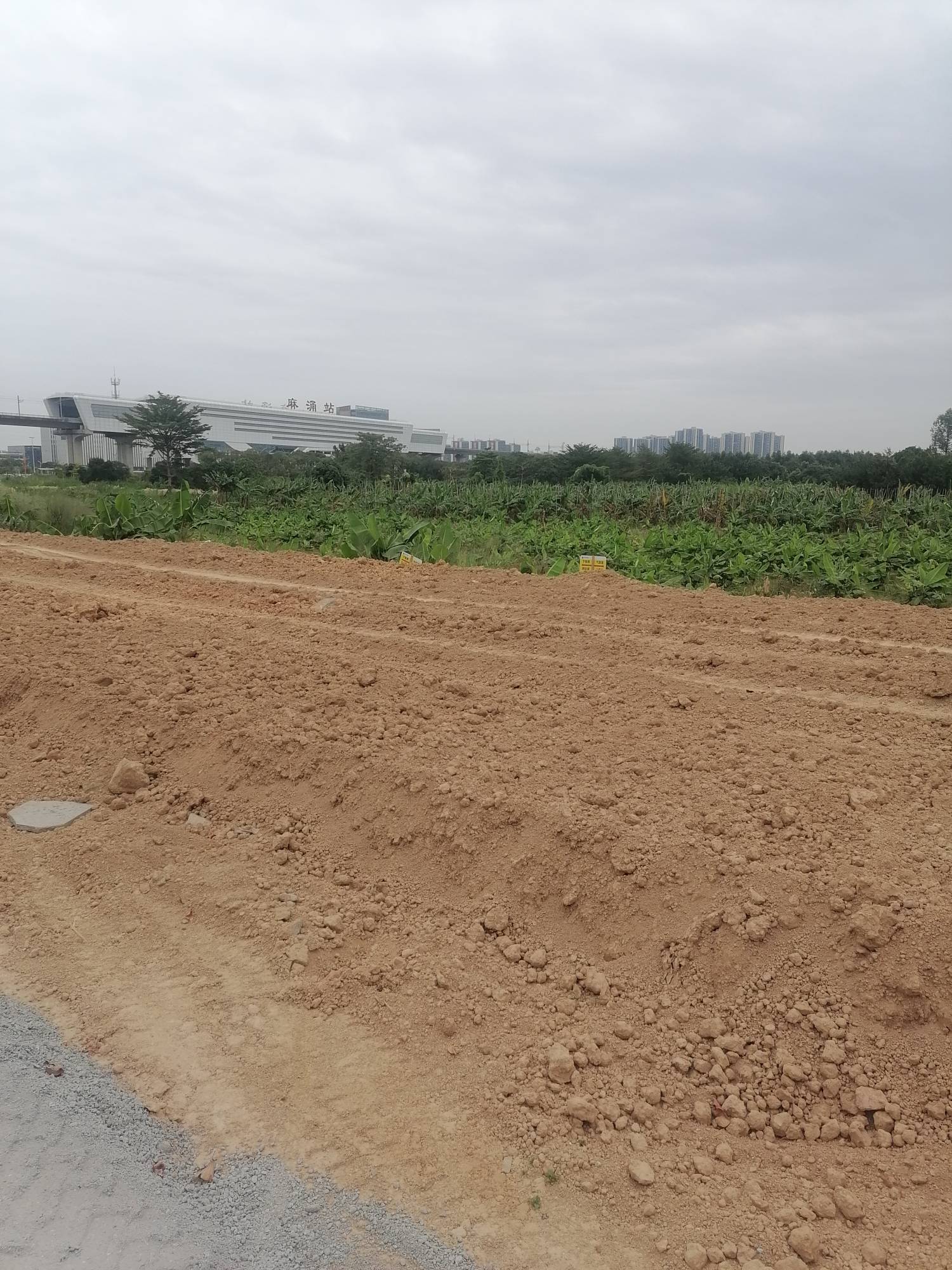 b站怎么看有没有发红包啊，我一个一个点累死了

55 / 作者:张牧之 / 