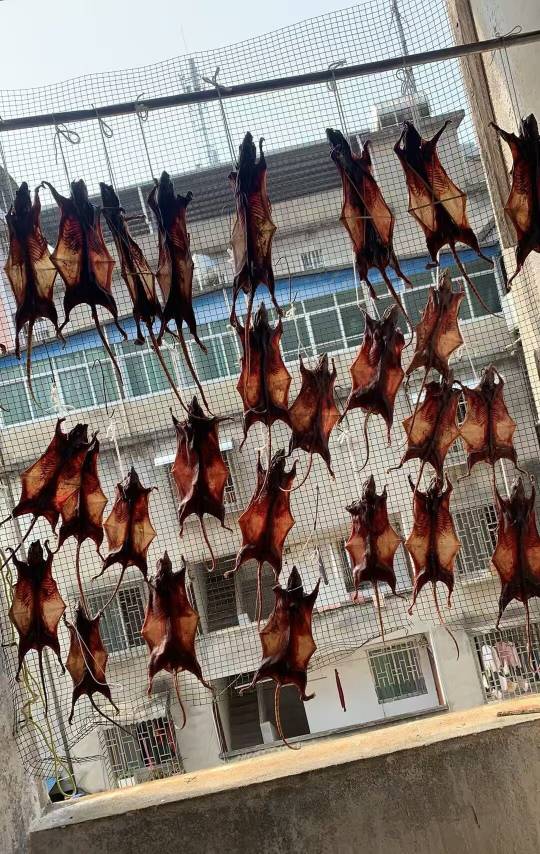 老哥新年好

70 / 作者:果然一道 / 