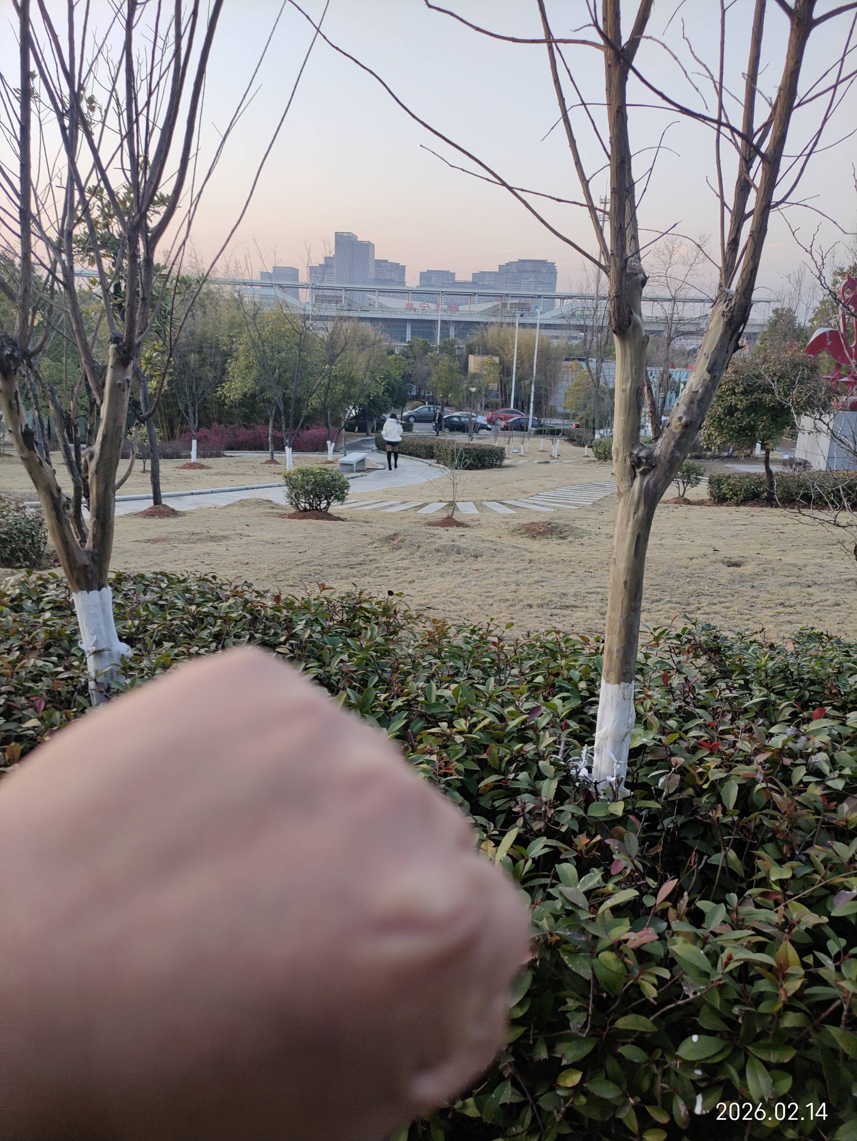 服了，发个美女老哥们乐呵一下，又没露脸也删 没必要这么严吧



16 / 作者:红菜苔 / 