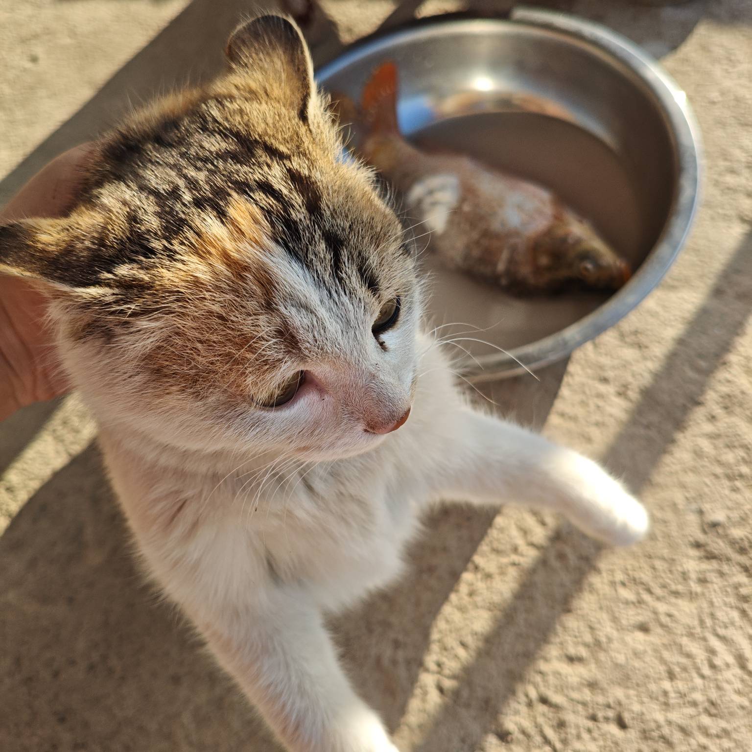 祝各位老哥年年有余


74 / 作者:山西陈冠希 / 