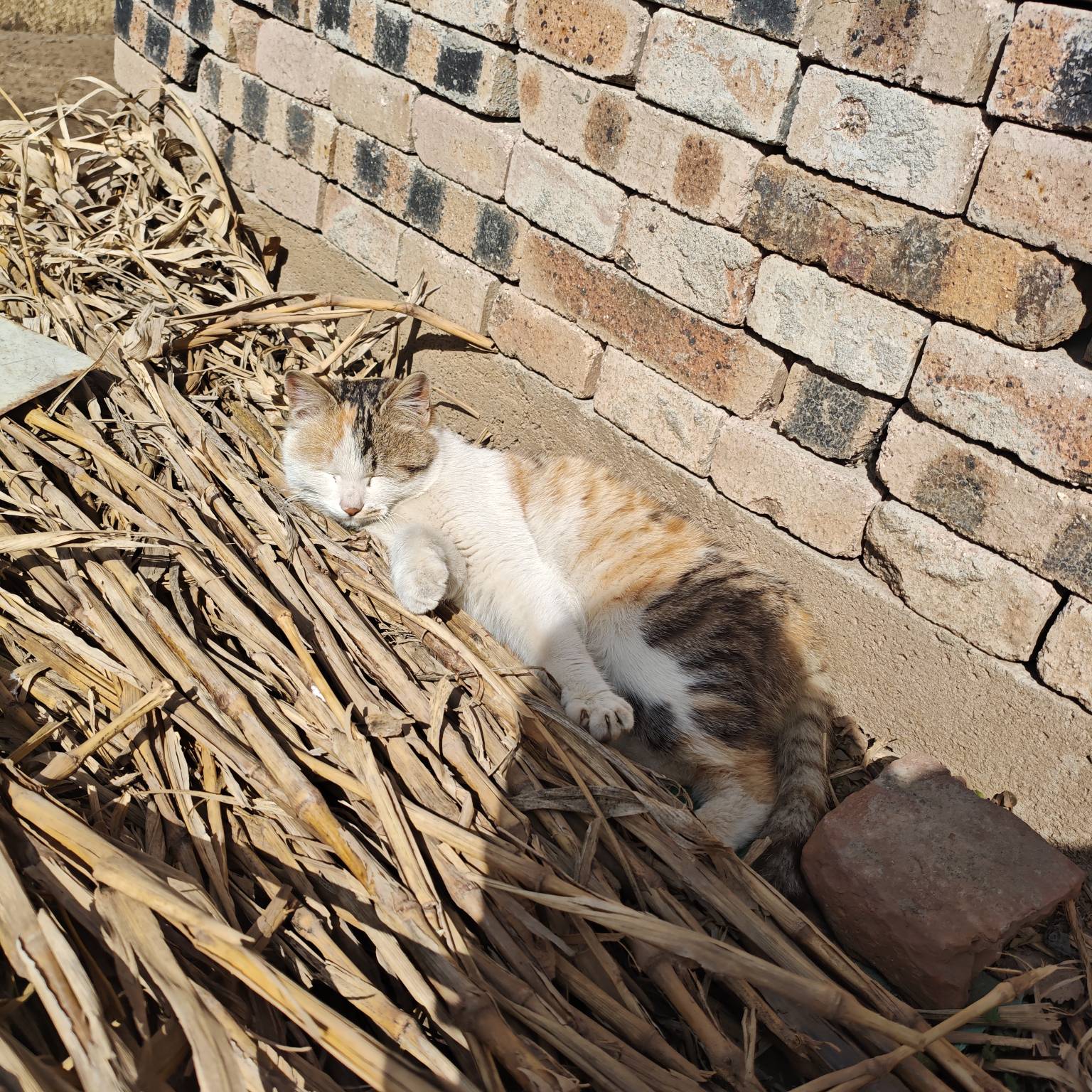 祝各位老哥年年有余


83 / 作者:山西陈冠希 / 