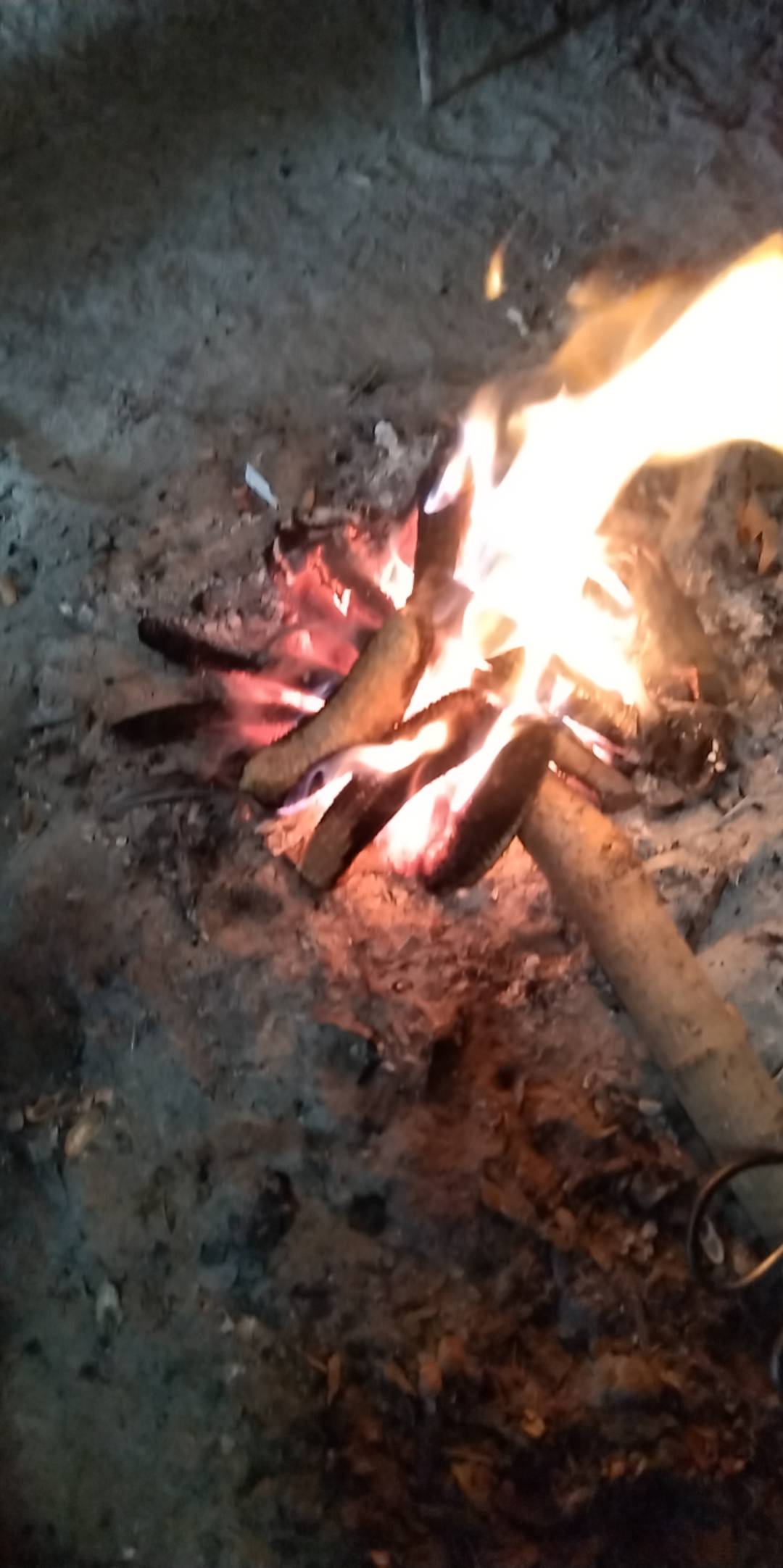 没钱没房没车没老婆，村里最可怕的就是没老婆，过年就是受罪，门都没脸出，躲在房间不81 / 作者:撸贷专业者 / 