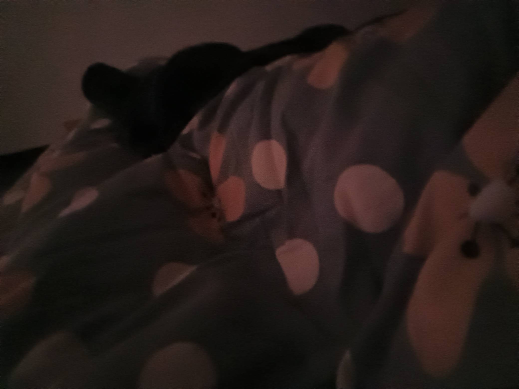 就这样躺着 明天还是躺 一个鸡蛋都没得吃

94 / 作者:外酥里嫩 / 