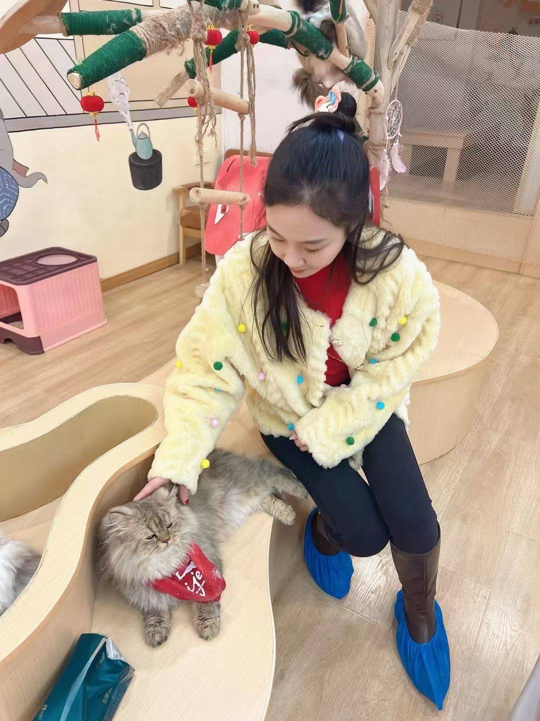 前任拉拉扯扯，是个独生女，真不敢下手，都不能在外面过夜的

14 / 作者:听说过遗憾吗 / 