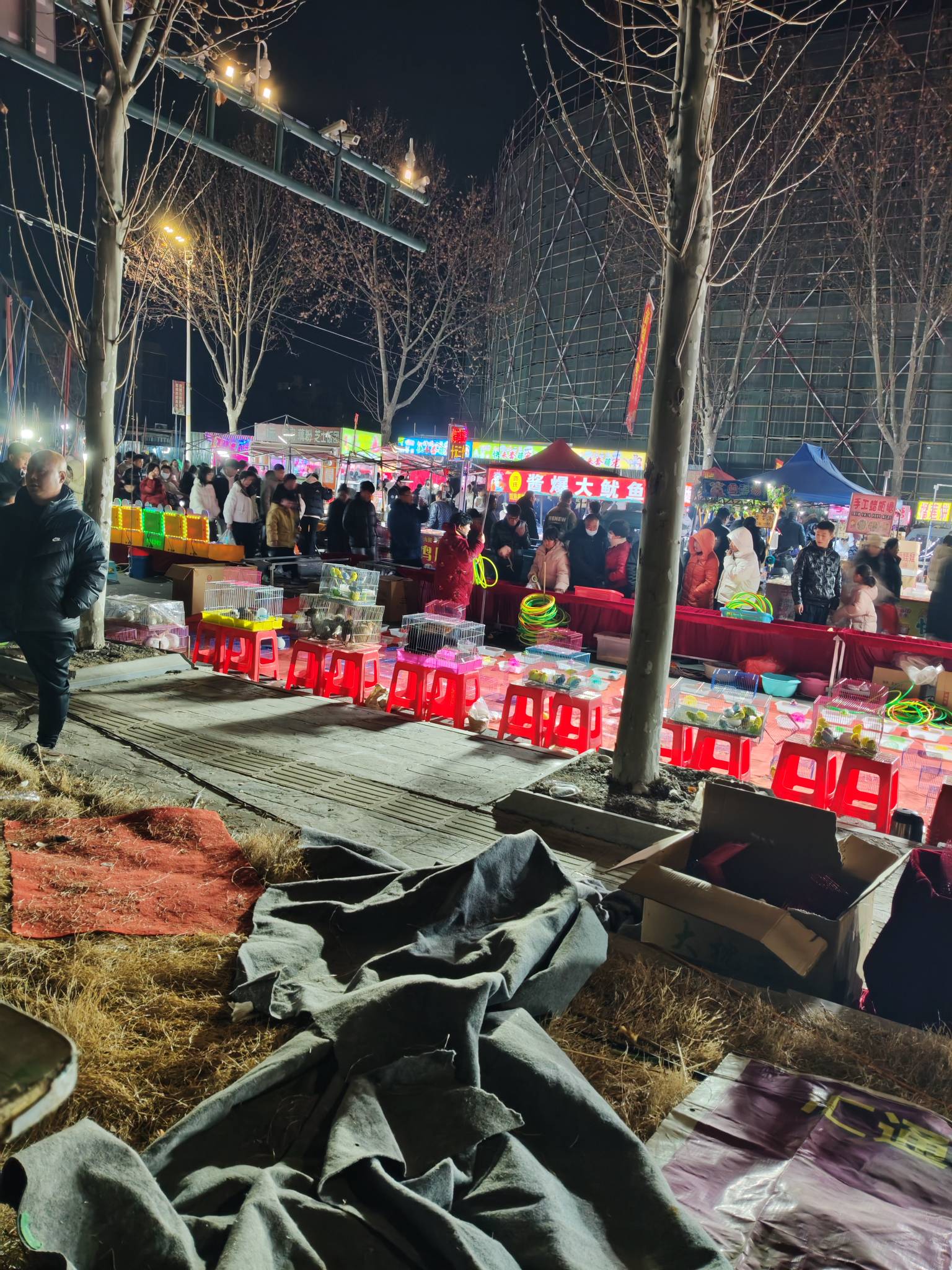 老哥们，来赶会呀

67 / 作者:一只麓 / 