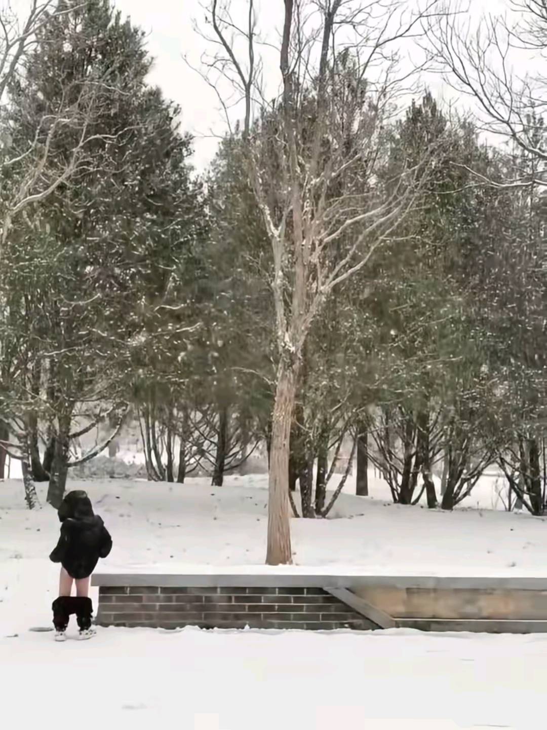 过去式，的这样那样。D不D，结果，最好是吃了，有没有朋友一样，吃附带一个人几个人罢76 / 作者:XBO222 / 