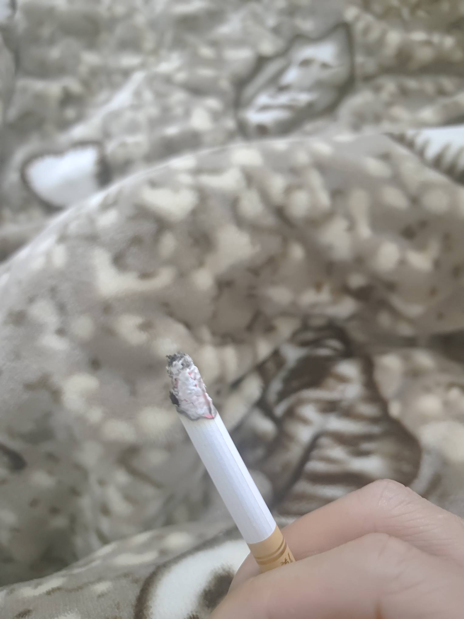 我是卖到假烟了吗？刚点着抽两口

97 / 作者:奥德彪裸奔 / 