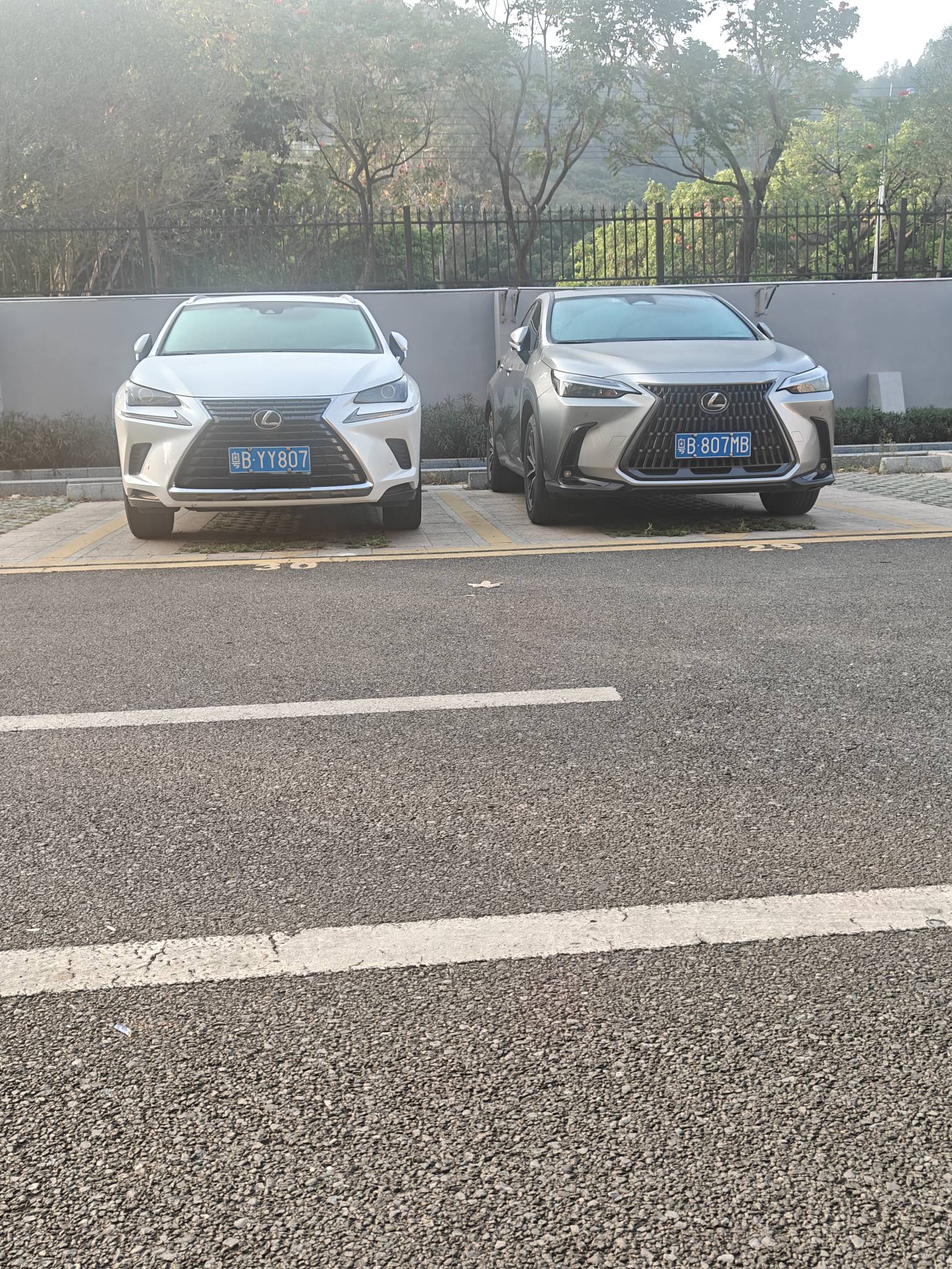 这两个哪个贵

42 / 作者:电竞经理回电 / 