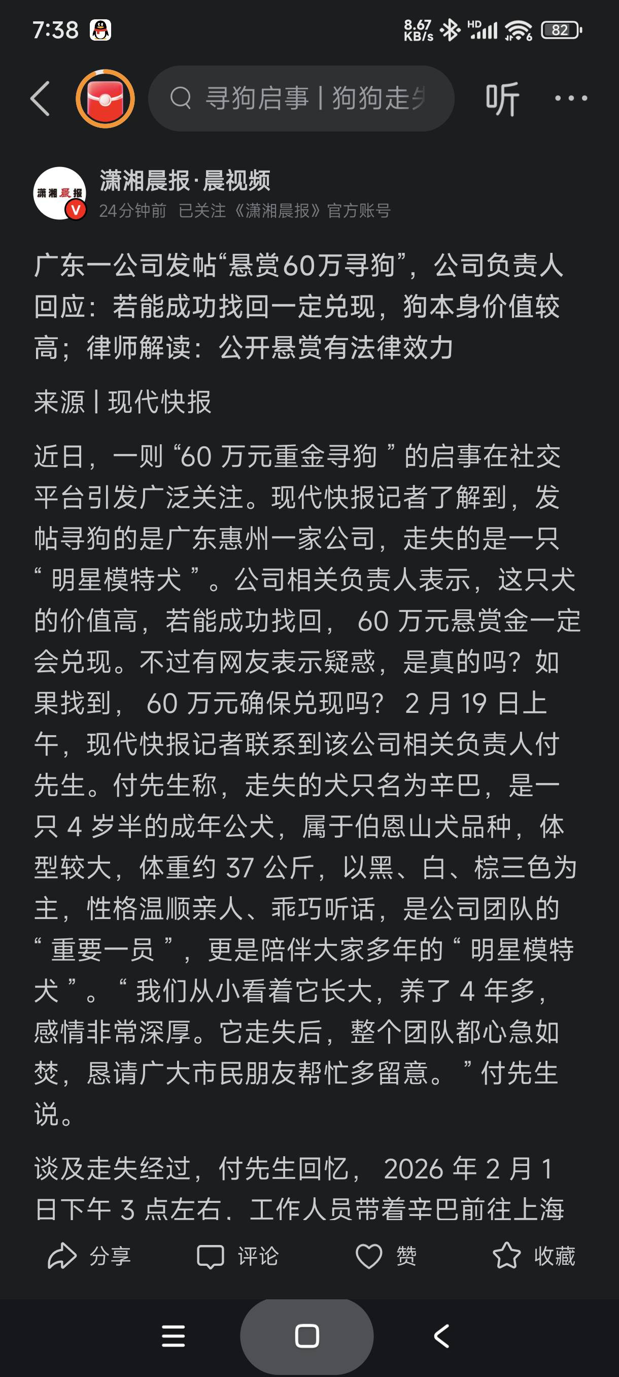 广东惠州的老哥有大毛，有一家公司公开悬赏六十万找一条狗

10 / 作者:富士山下147 / 