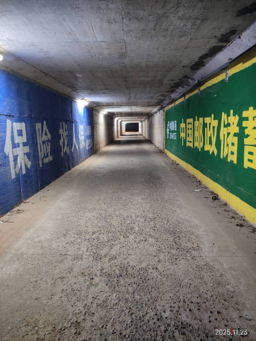 躺过废弃的地下通道，瘫痪过公厕，起起落落没啥意思，老哥们，还是找个螺丝厂稳工去吧46 / 作者:红菜苔 / 