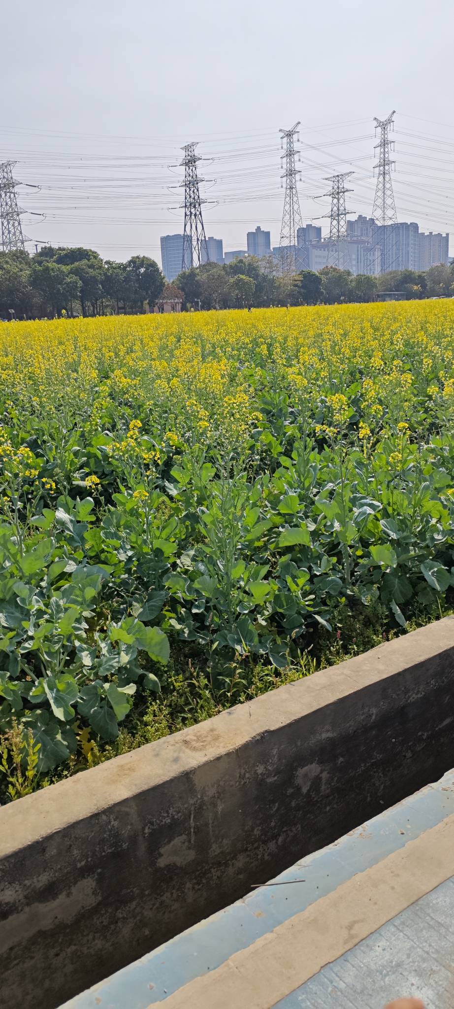 刚来，甘肃邮储火车票是必中200吗？

82 / 作者:卡农豆包 / 