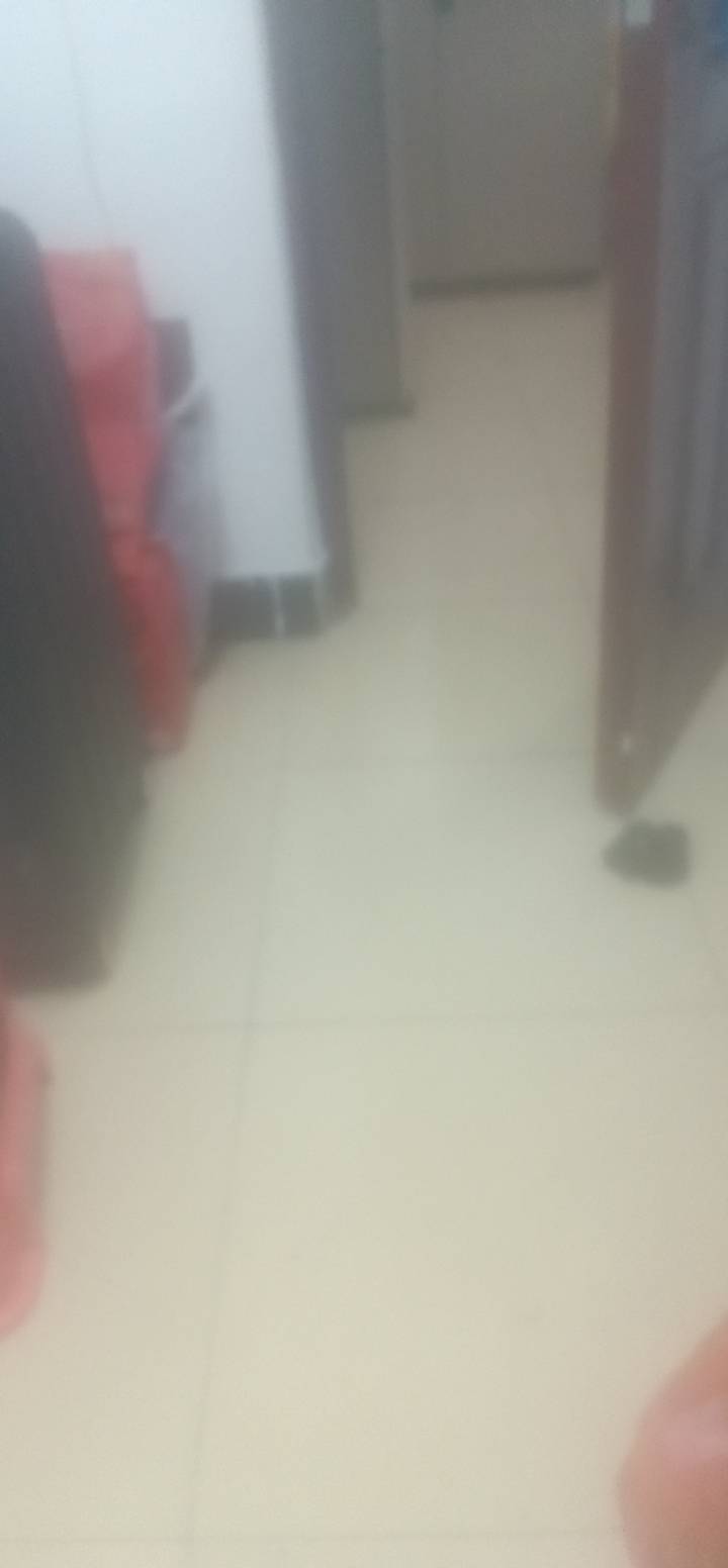 有在深圳沙井的老哥吗？来我这儿一起过年，在我租的房子里面做饭。晚上一起去网吧通宵74 / 作者:Jesonwww / 