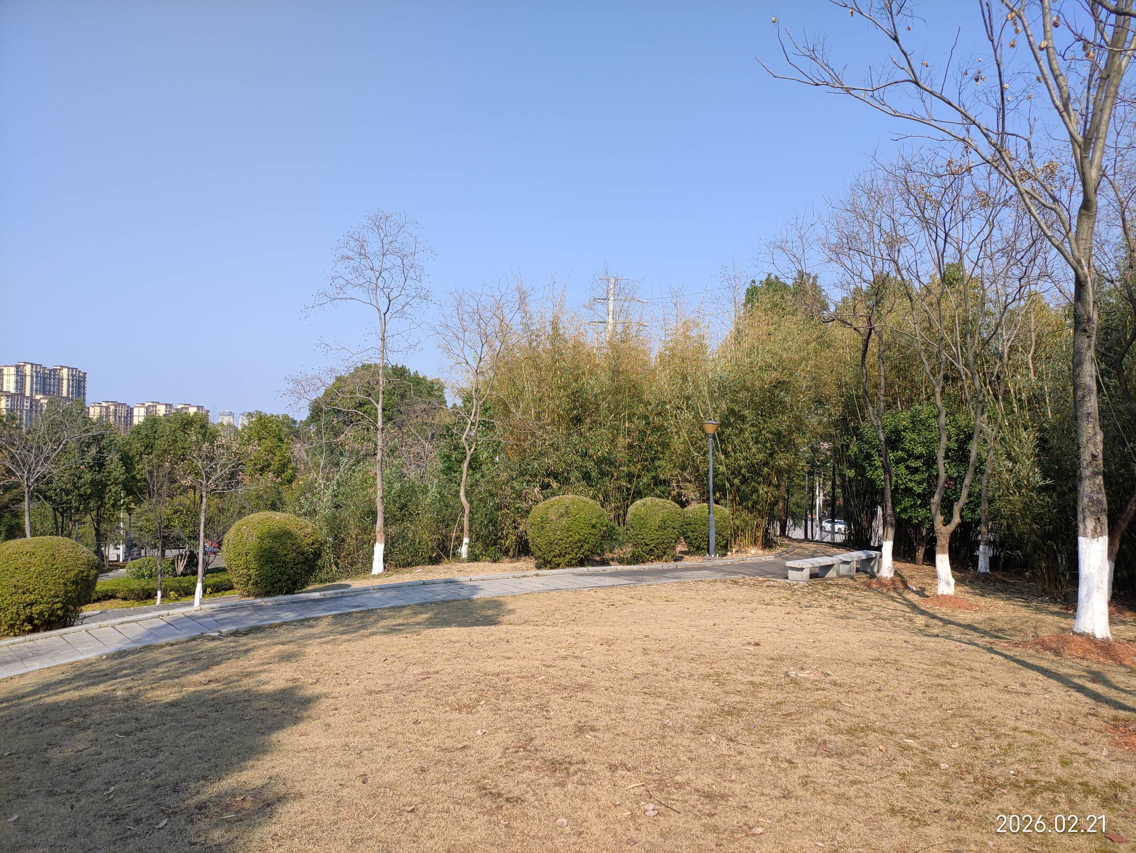 躺太久了，今天把酒店房退了，又瘫痪公园了  
前年在公园这里瘫痪了半个多月，又回来29 / 作者:红菜苔 / 