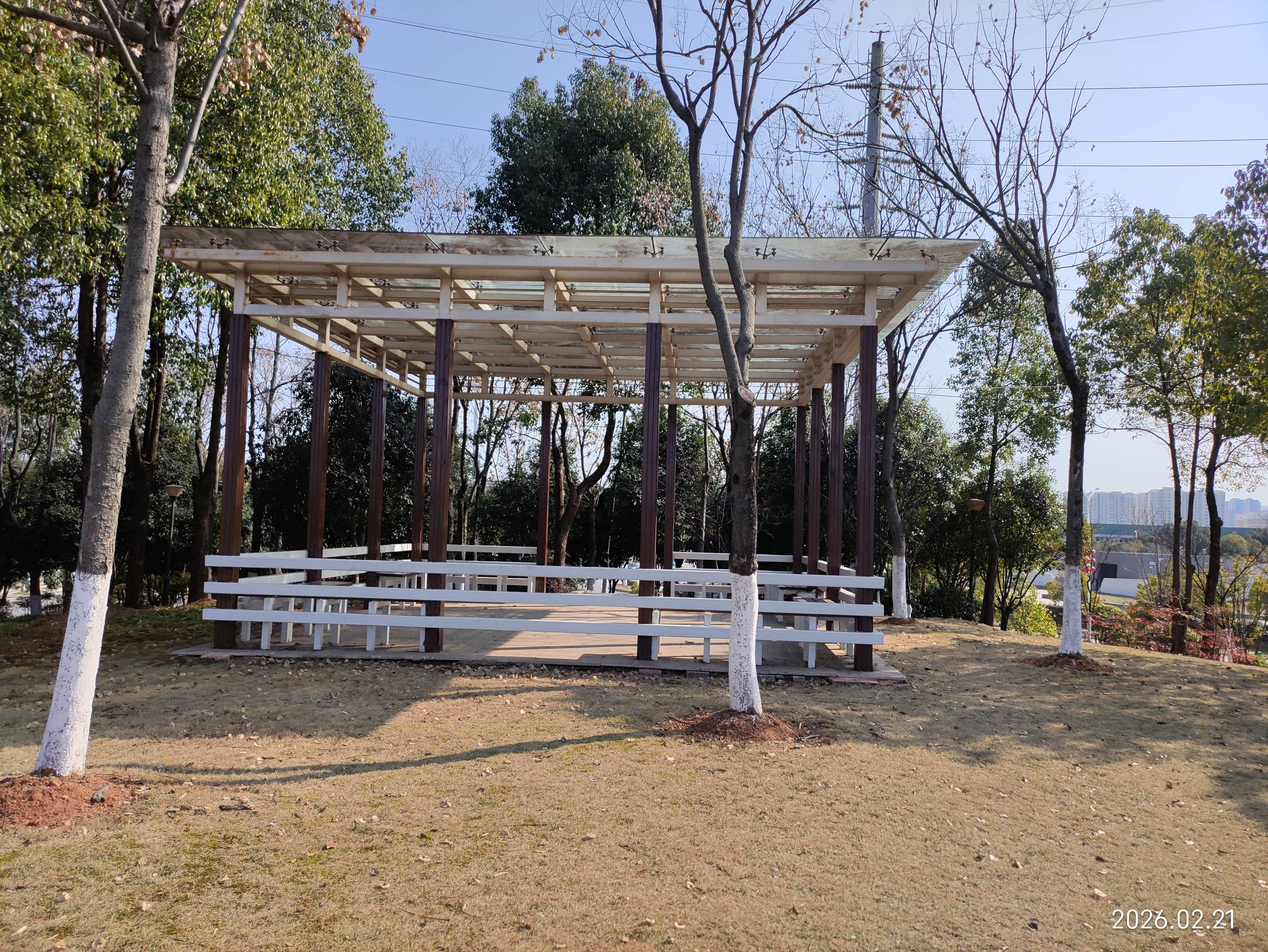 老哥们，给个意见，今天刚把酒店房间退了，手里还剩1.6个，不能继续躺了，再躺一个星22 / 作者:红菜苔 / 