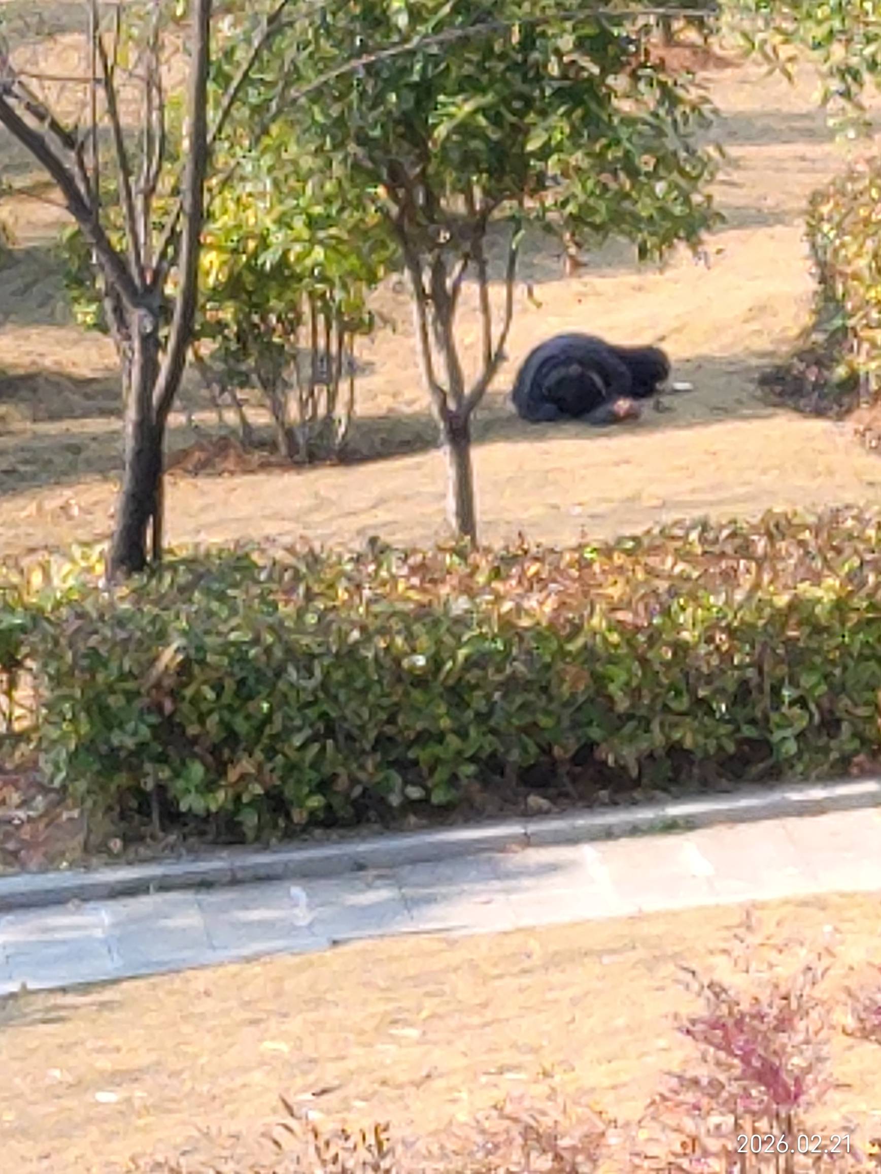 老哥们，有没有一起到公园挂比的，天气也暖和了，公园没啥人，充电也方便，旁边就有公51 / 作者:红菜苔 / 