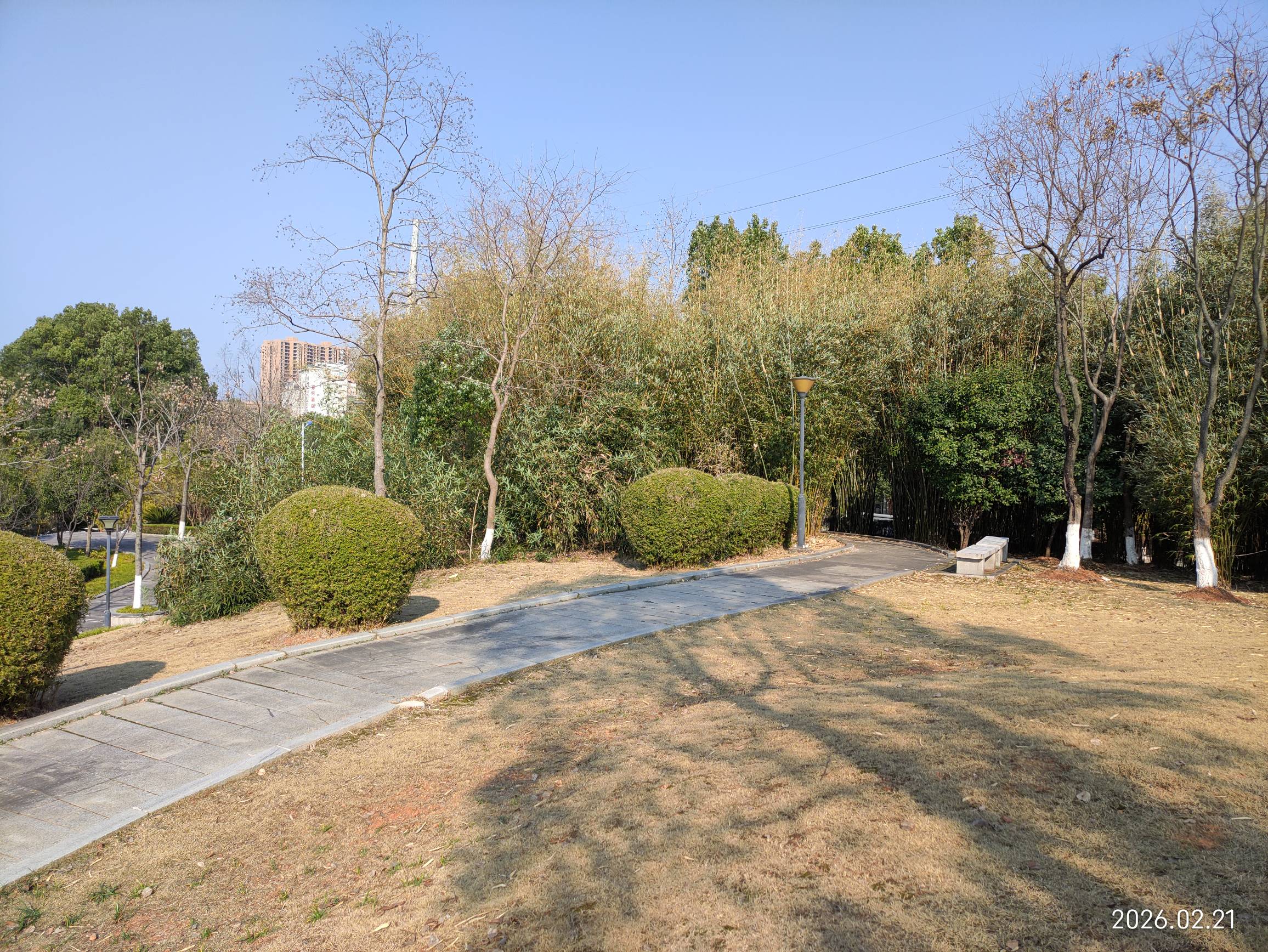 老哥们，有没有一起到公园挂比的，天气也暖和了，公园没啥人，充电也方便，旁边就有公76 / 作者:红菜苔 / 