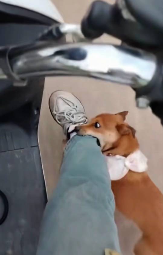 求教老哥们，不lu帝收新人，还要给号他登陆，这种能做吗

15 / 作者:熙呀熙 / 