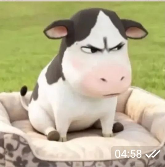 有没有在昆山枫景苑的老哥
你那里能做饭吗？我出资酒菜烟去买点我俩自己做着吃

83 / 作者:网恋被骗五千块 / 