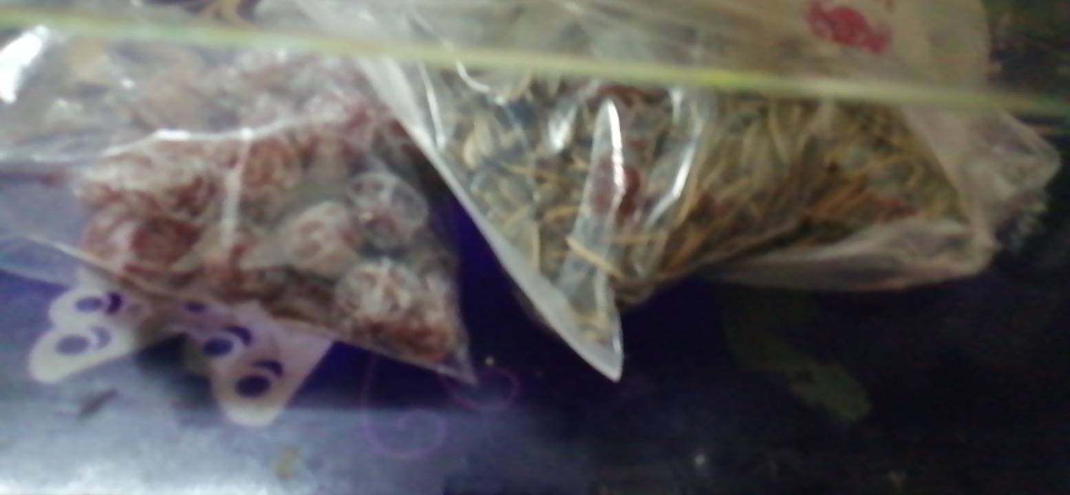 饿啊，吃苹果从来不削皮，就为了多吃点，有没有毛毛？

34 / 作者:专业吃席 / 