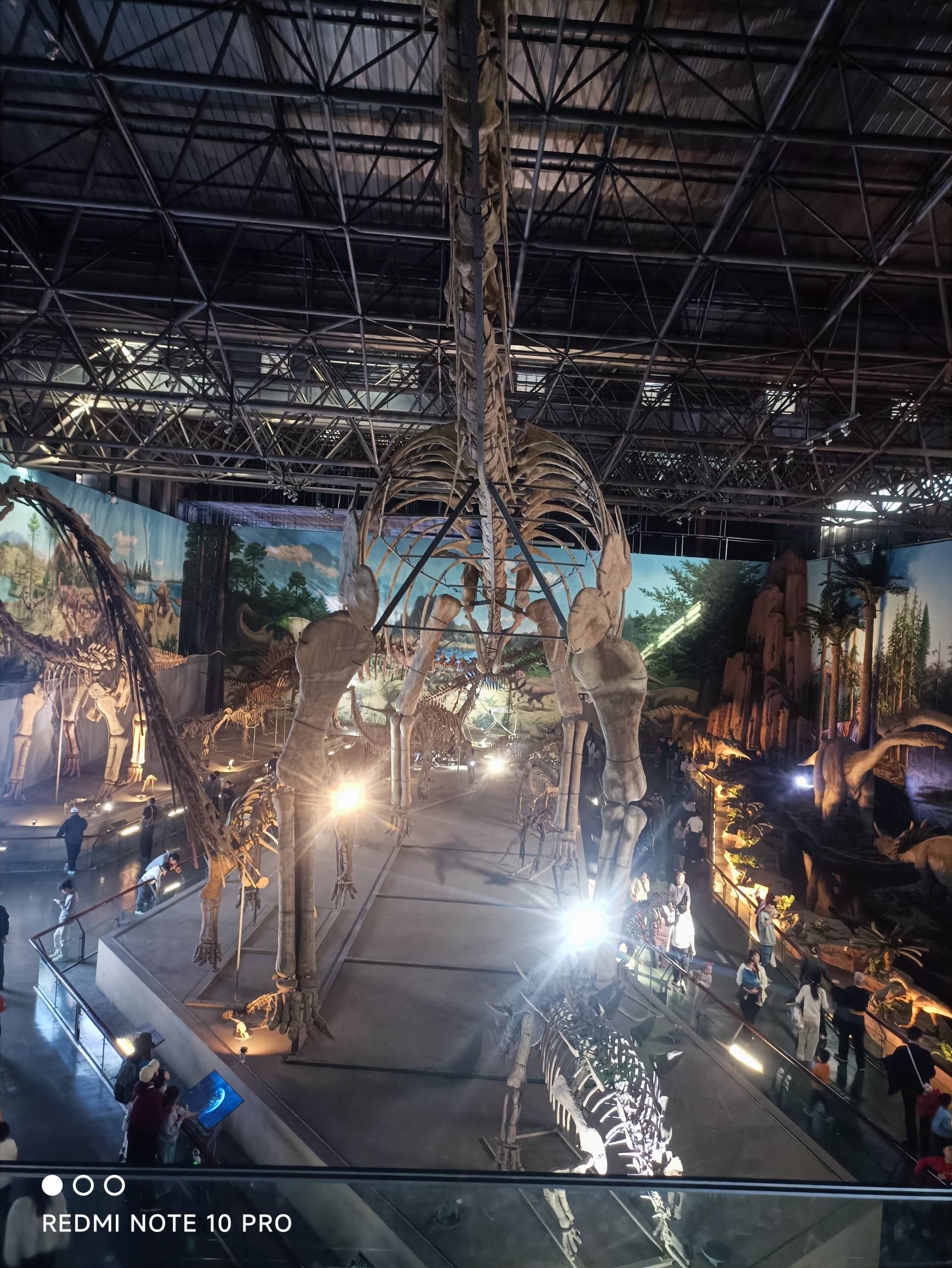 今天我替挂b老哥们出去看看远古生物恐龙

35 / 作者:重生之我在卡农挂壁 / 