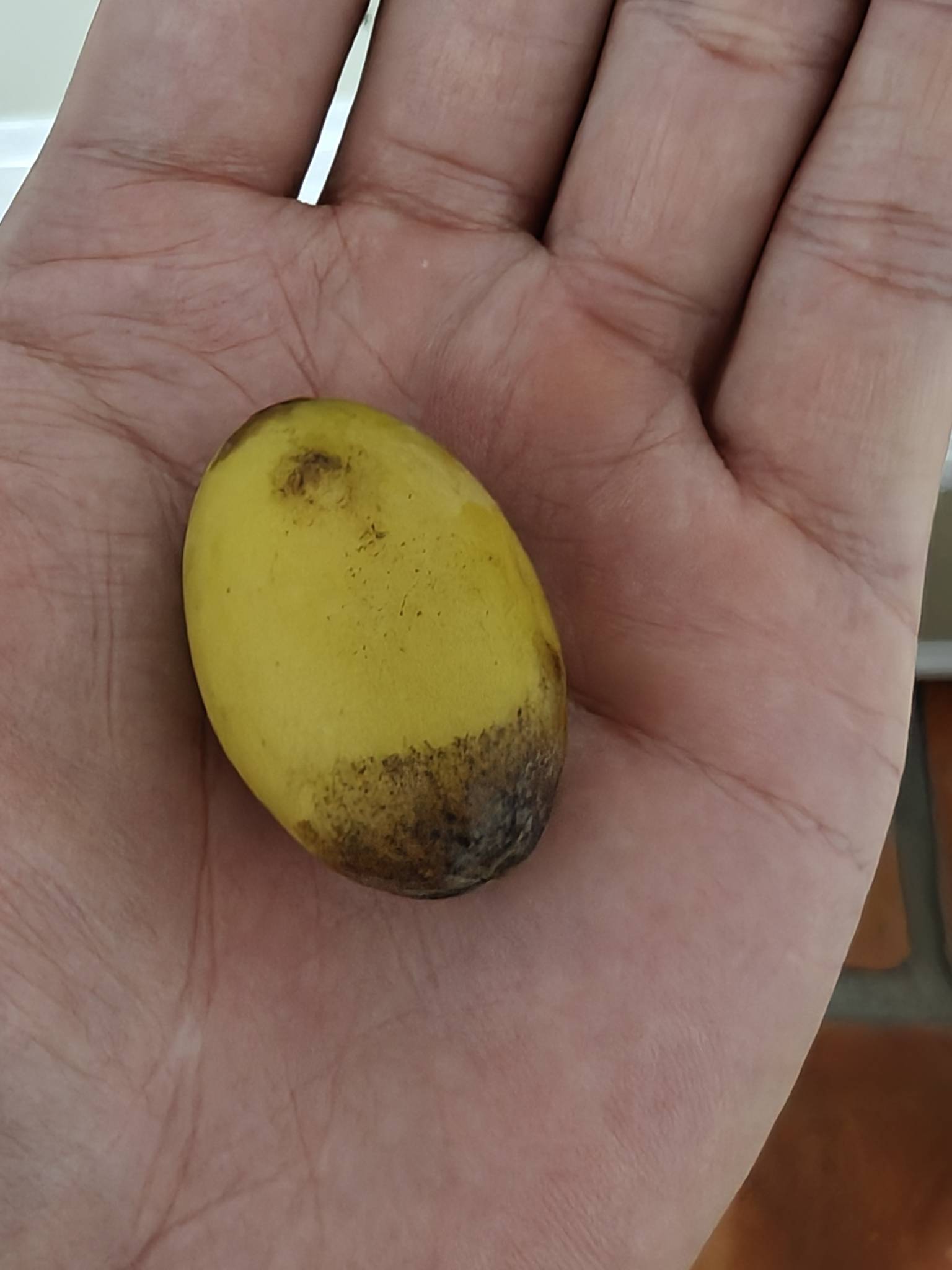 我每天不吃两包大果，已经坚持二十多年了，现在嘴只能开五指，几乎每天都只吃三顿饭，41 / 作者:神孙策 / 