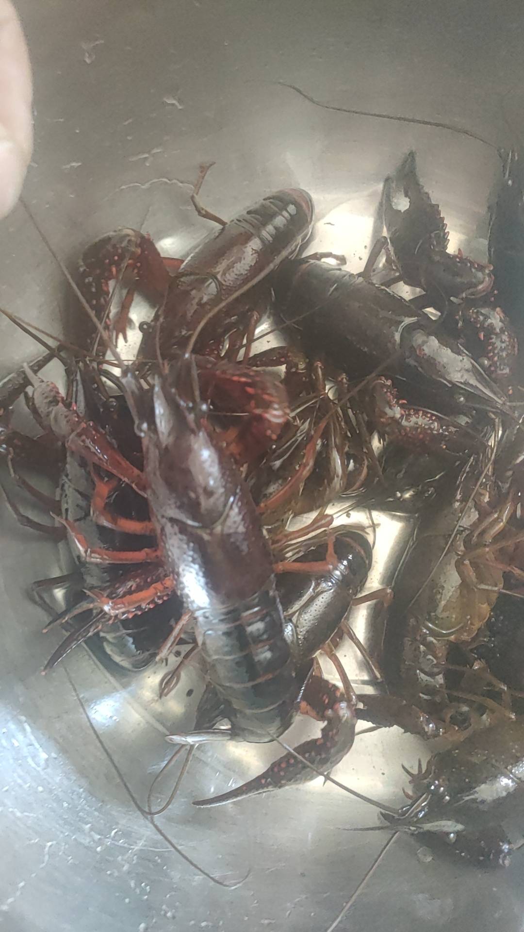 老哥们现在哪个城市挂壁舒服，推荐个地方，又要开始新一年挂壁了

36 / 作者:fjcdg / 