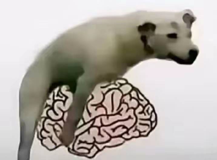 这还有机会嘛

85 / 作者:大力水手皮卡丘 / 