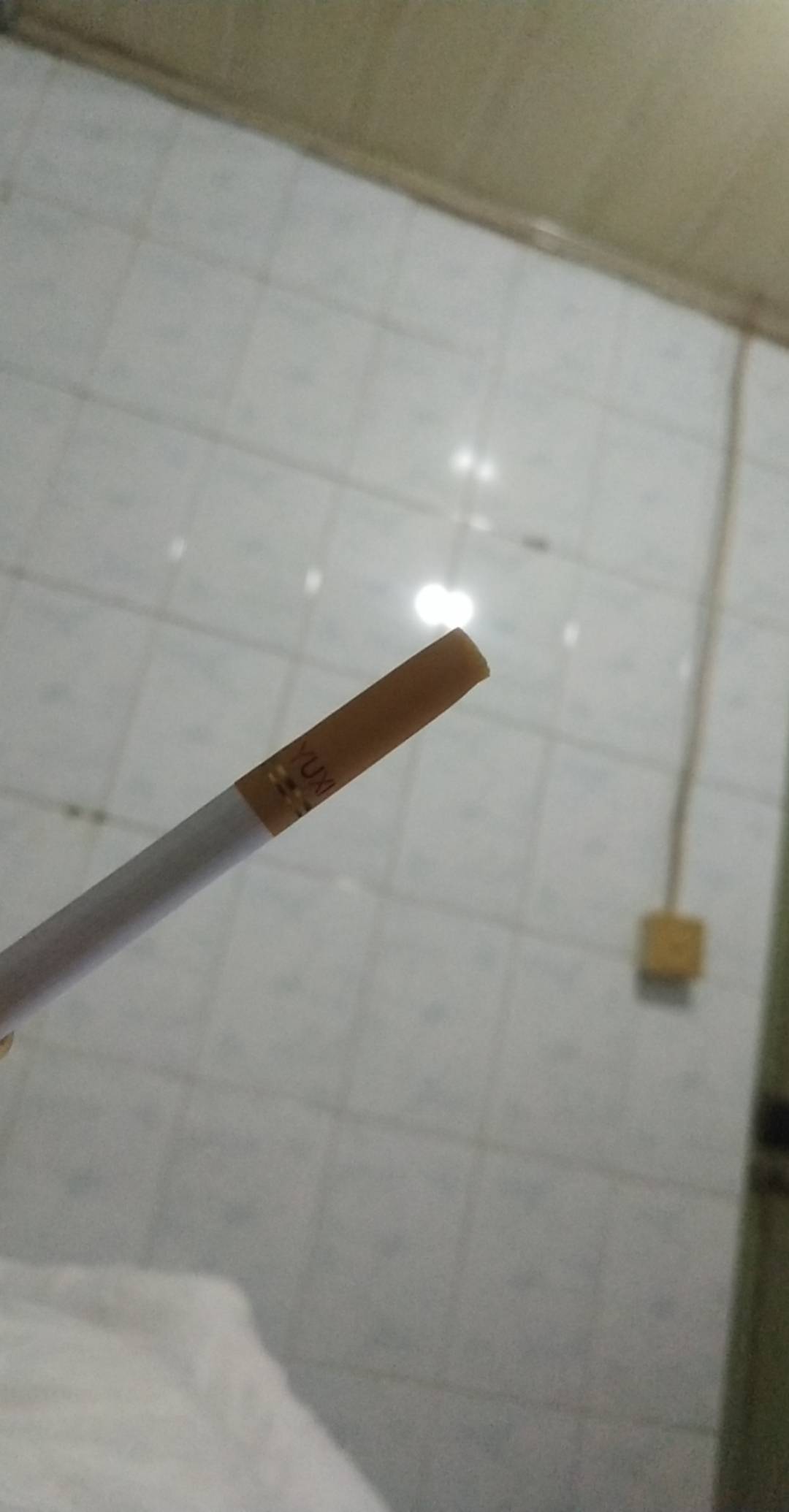 陪一根 

33 / 作者:温柔is / 