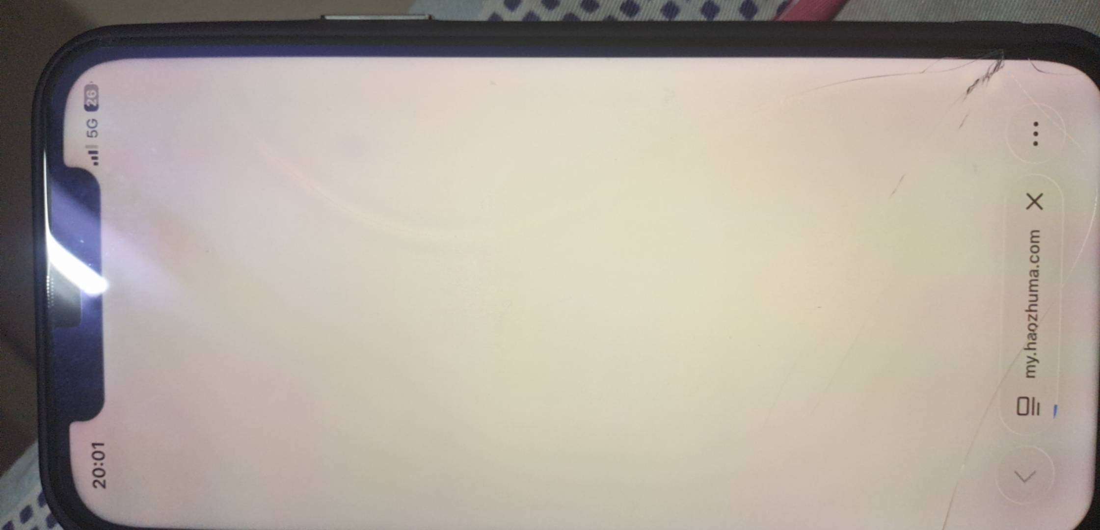 来个老哥讲一下浙江公会是接哪个项目的，直接搜找不到，一瓶快乐水


27 / 作者:我爱罗c / 