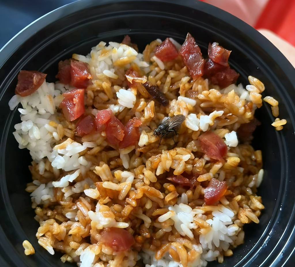 一只小苍蝇把小美给薅着了，舒服呀


72 / 作者:无与伦比868 / 