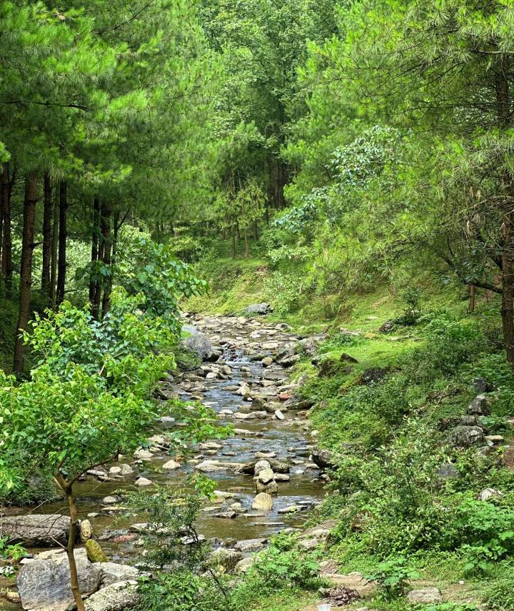 流量卡
谁知道怎么买便宜的流量卡。

96 / 作者:狸洛丫 / 