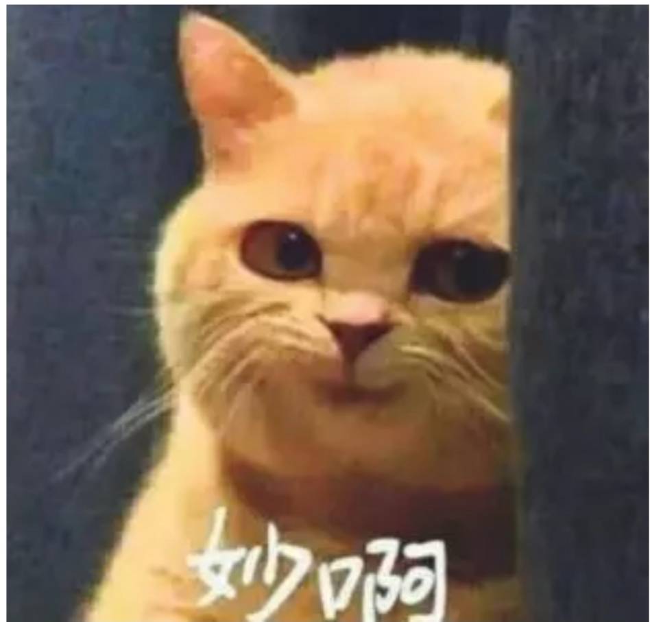 谁买了红米Turbo5，用着怎么样

58 / 作者:摇摆的苏丹 / 